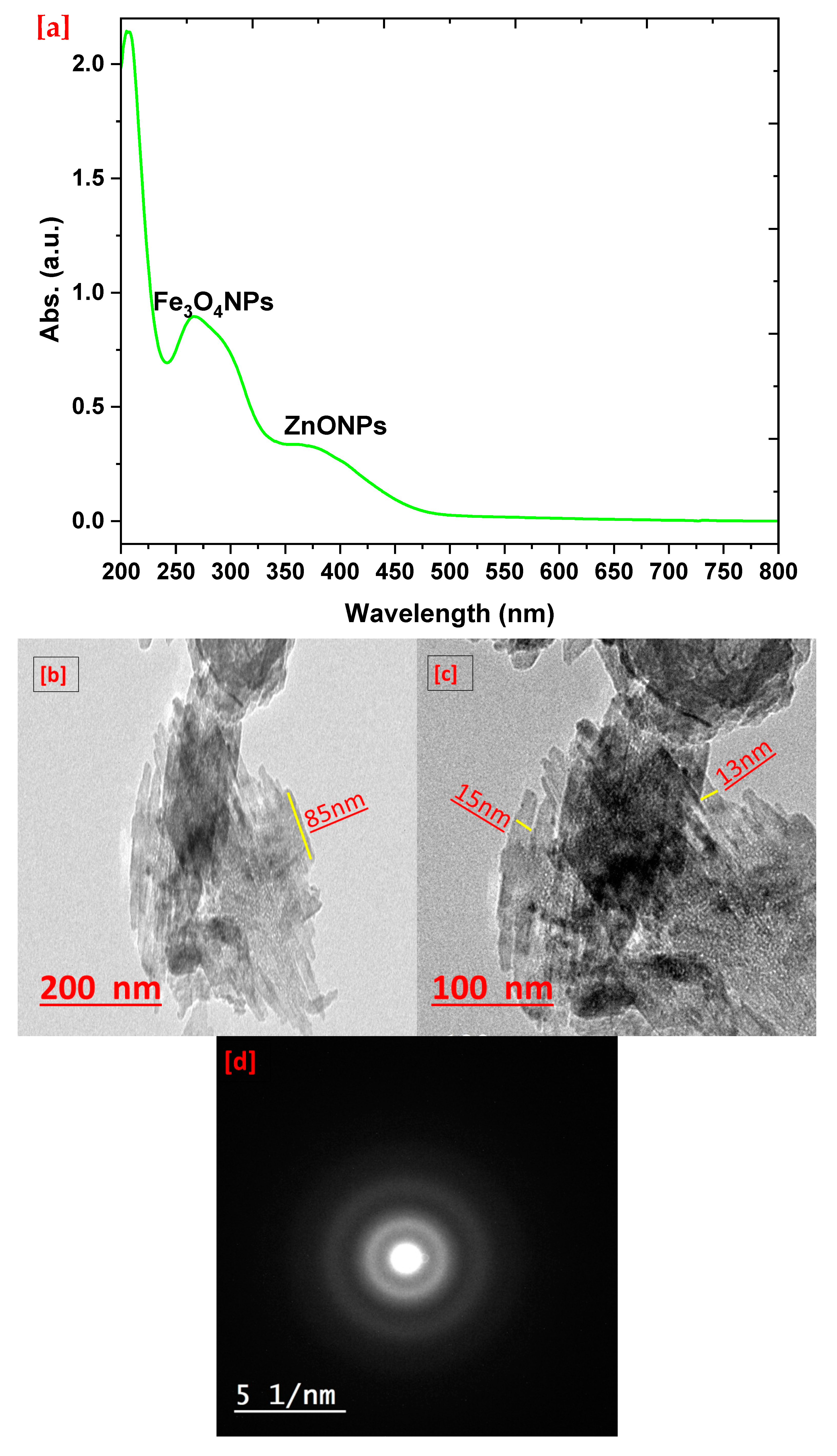 Polymers 15 03641 g001