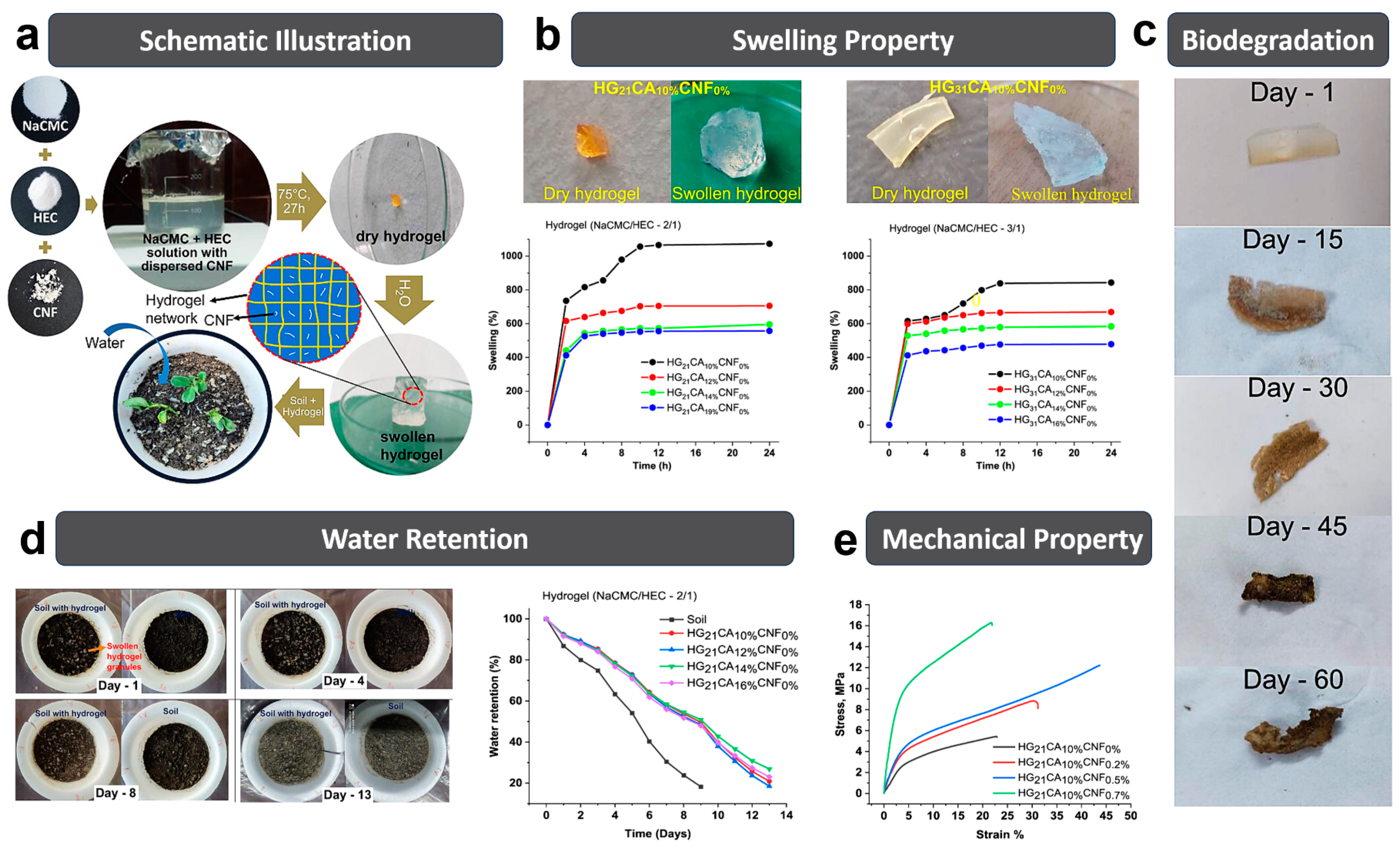 Polymers 15 03643 g003