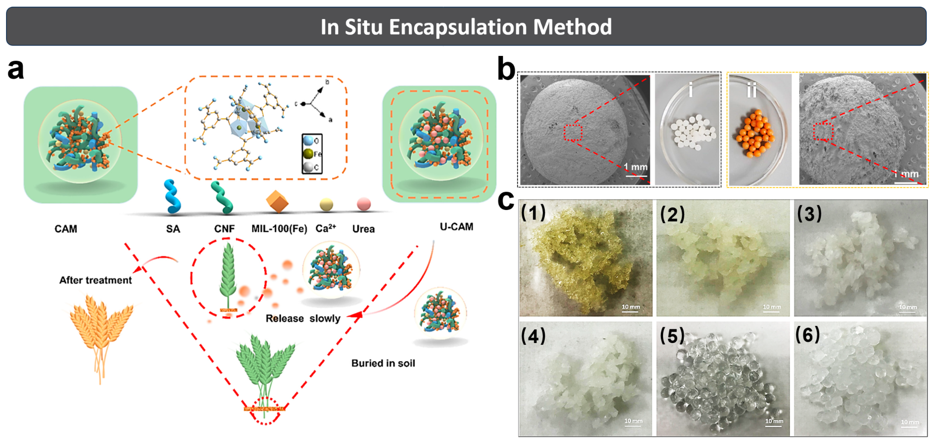 Polymers 15 03643 g005