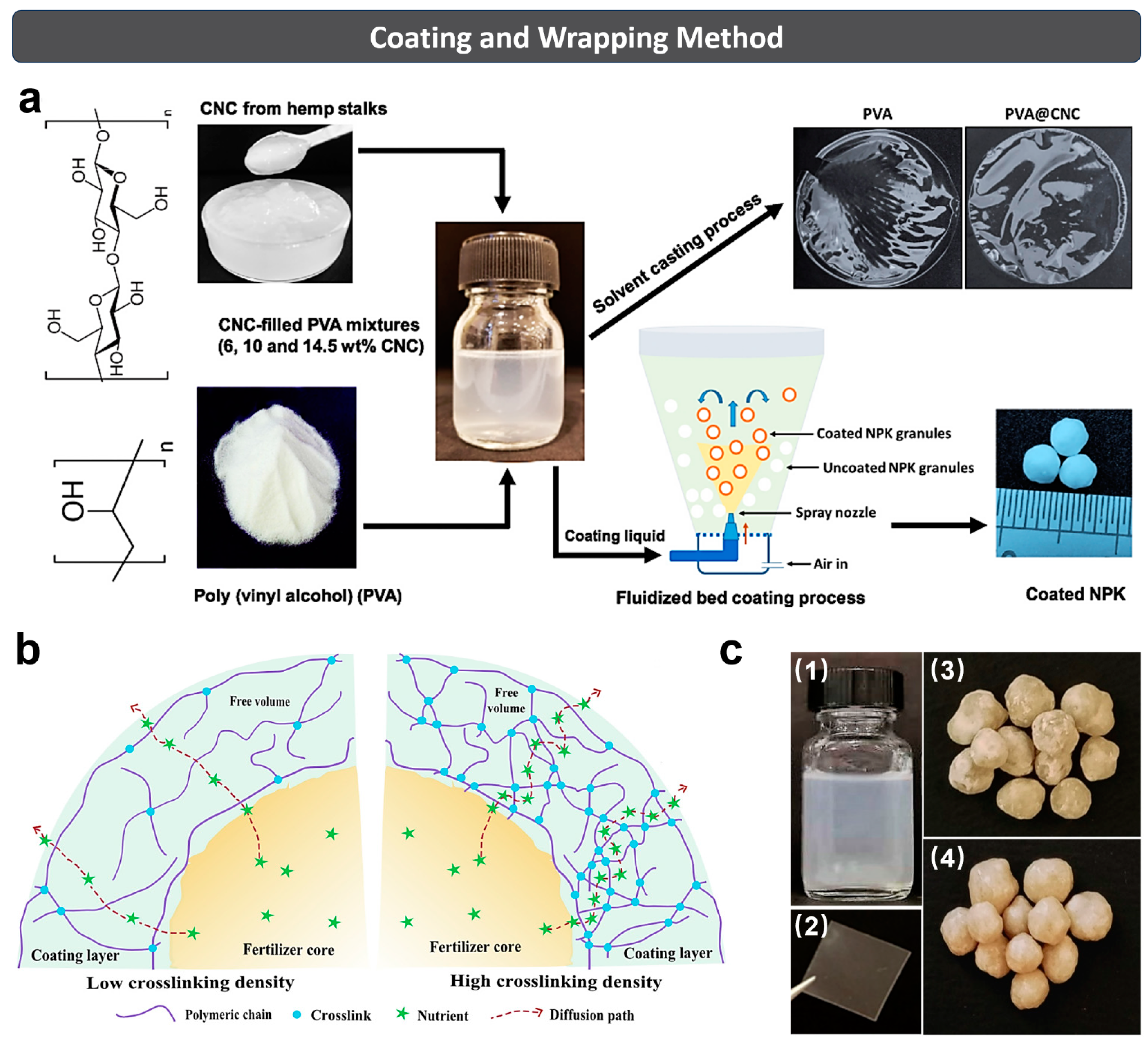 Polymers 15 03643 g006