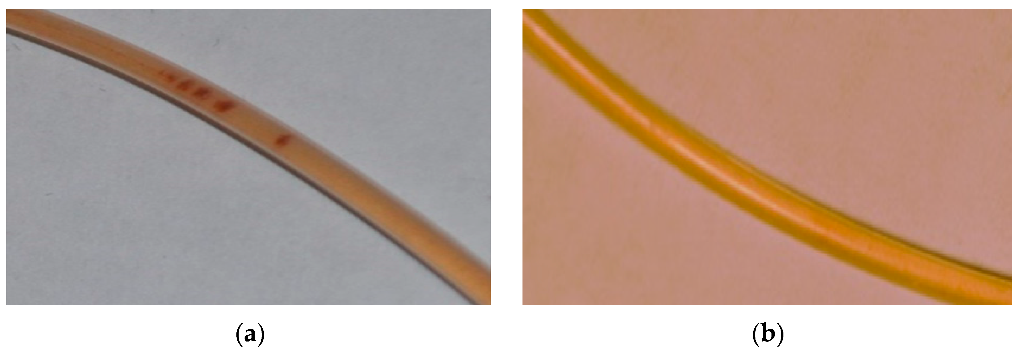 Polymers 15 03644 g008