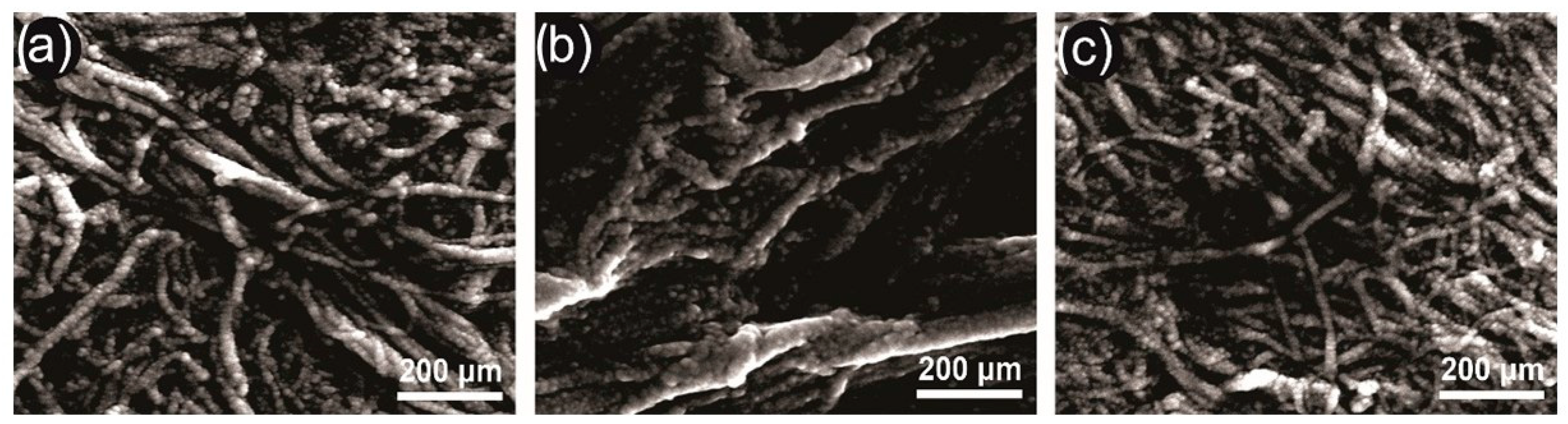 Polymers 15 03646 g004