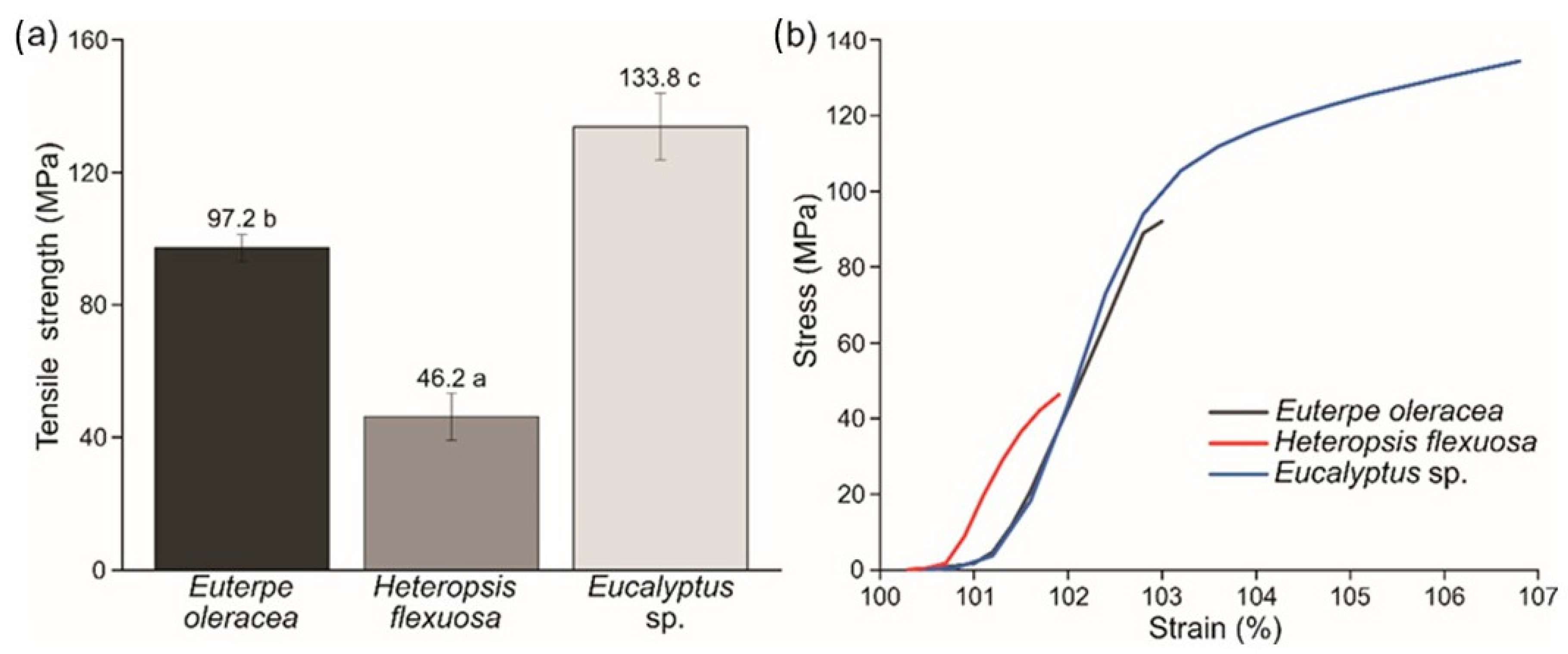 Polymers 15 03646 g009