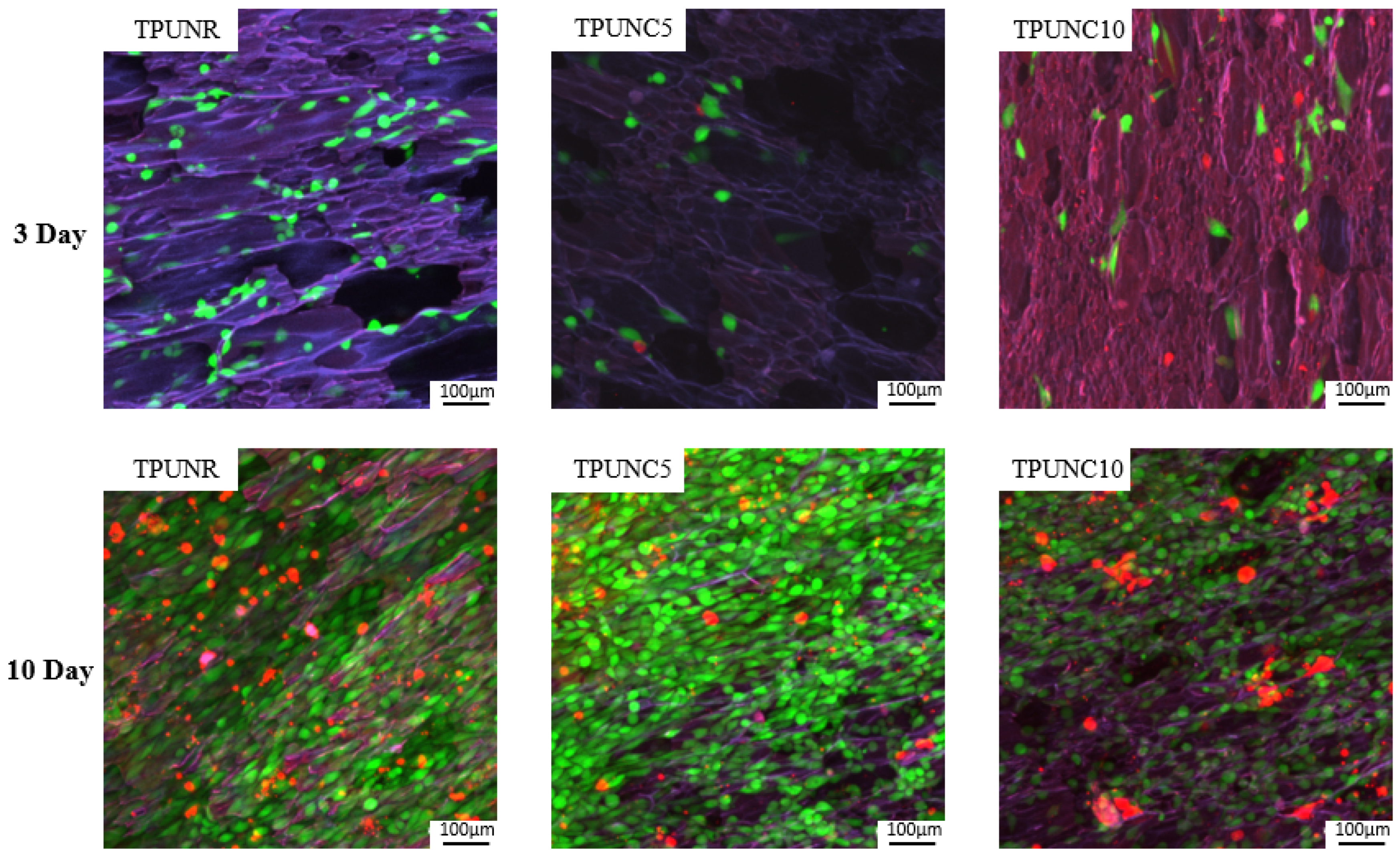 Polymers 15 03647 g008 Polymers 15 03647 g008