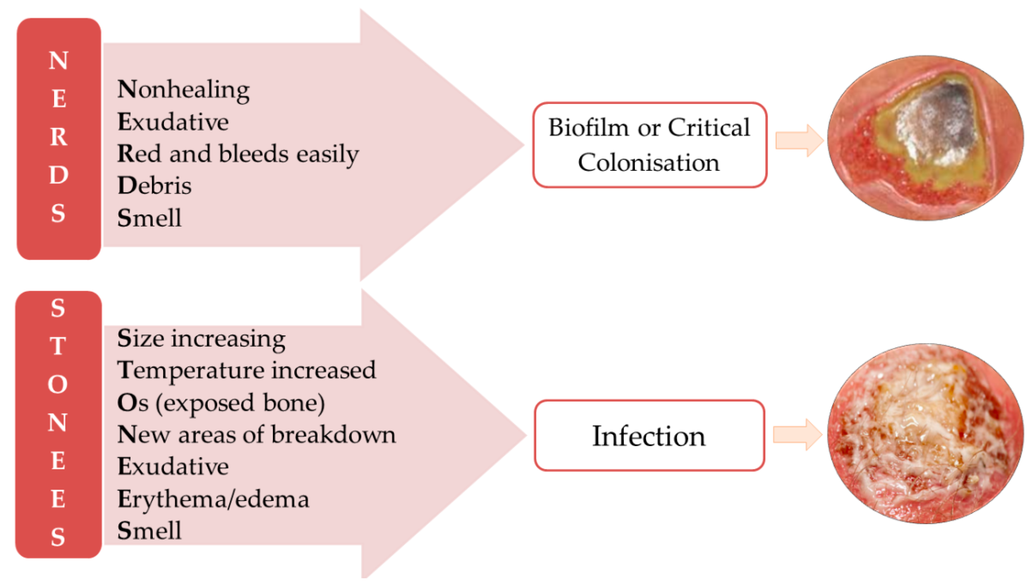Polymers 15 03648 g003