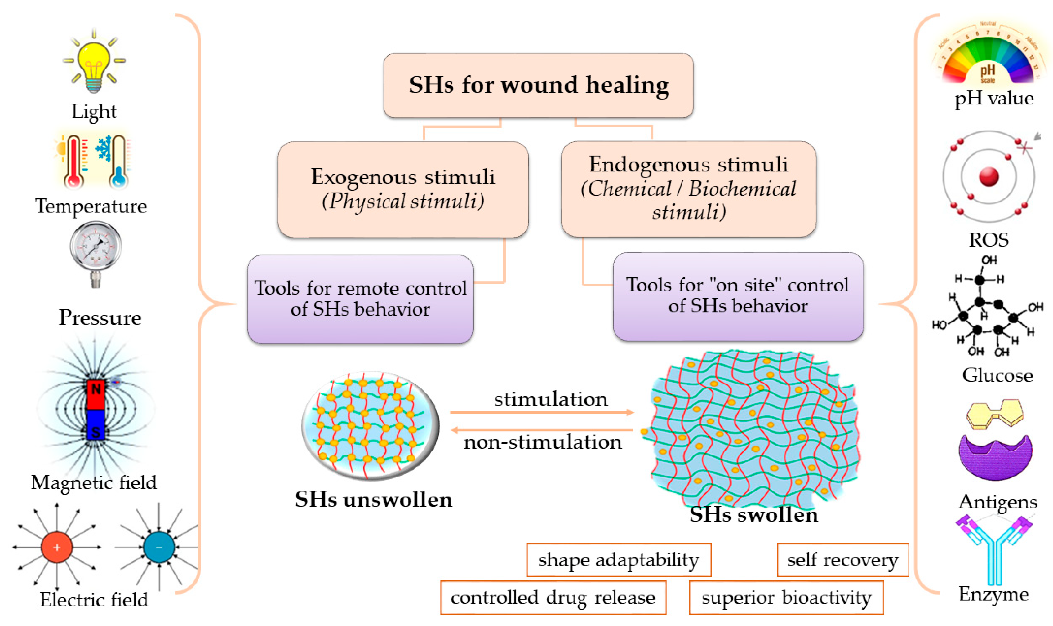 Polymers 15 03648 g007