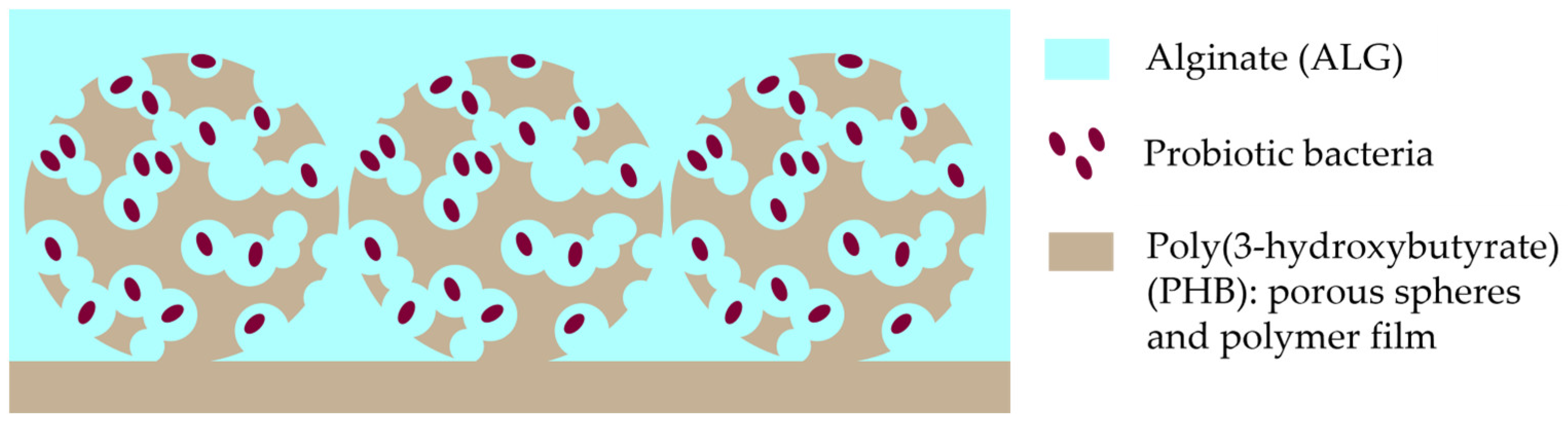 Polymers 15 03649 g001