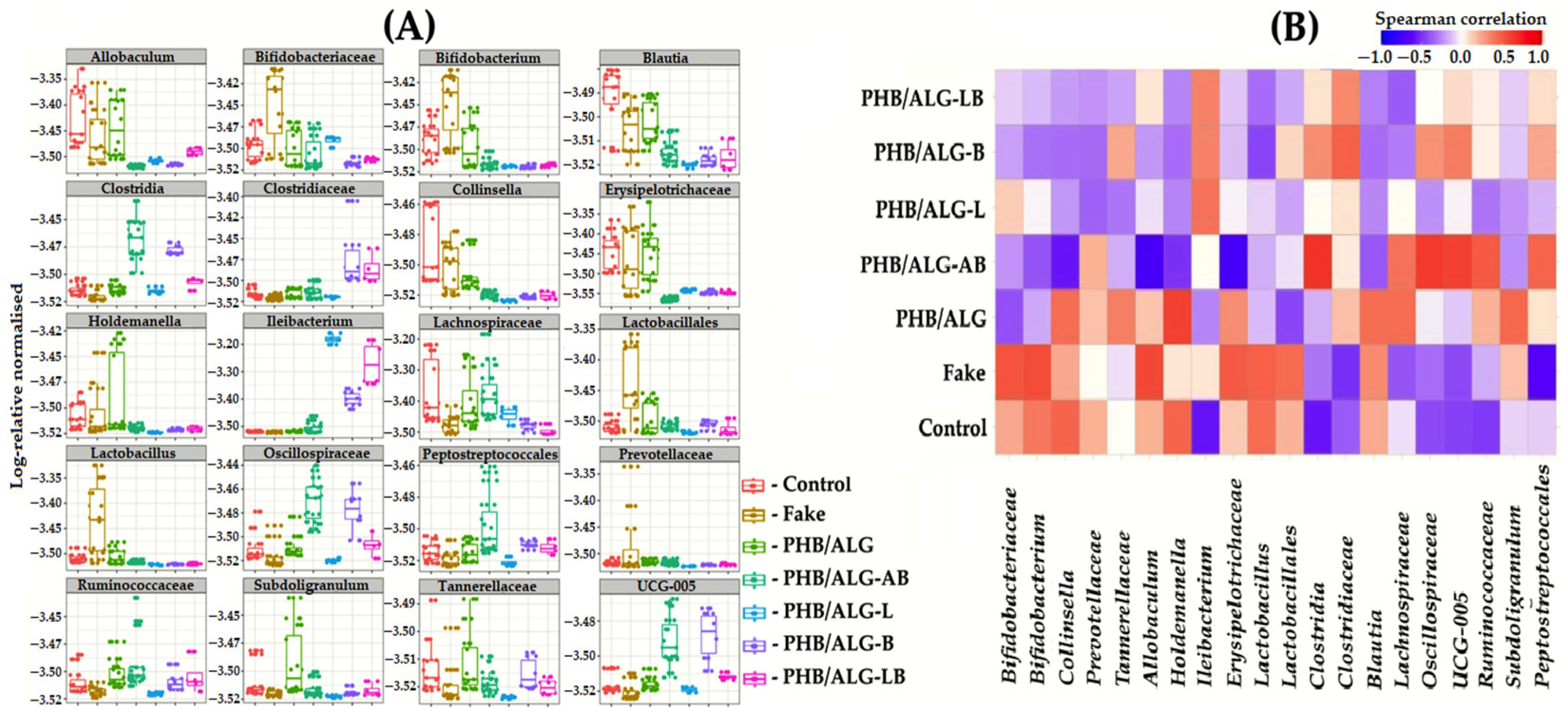 Polymers 15 03649 g007