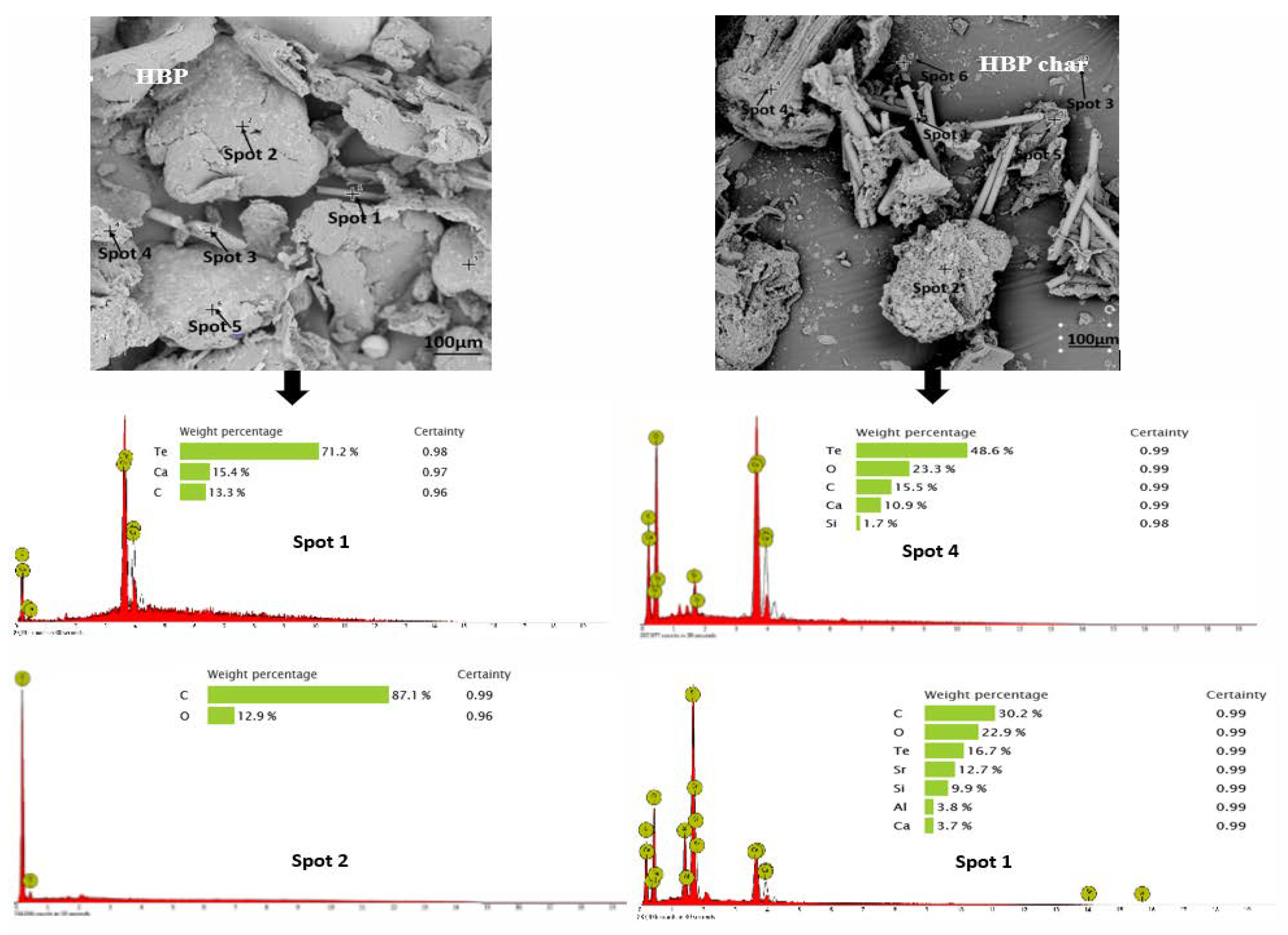 Polymers 15 03650 g003a