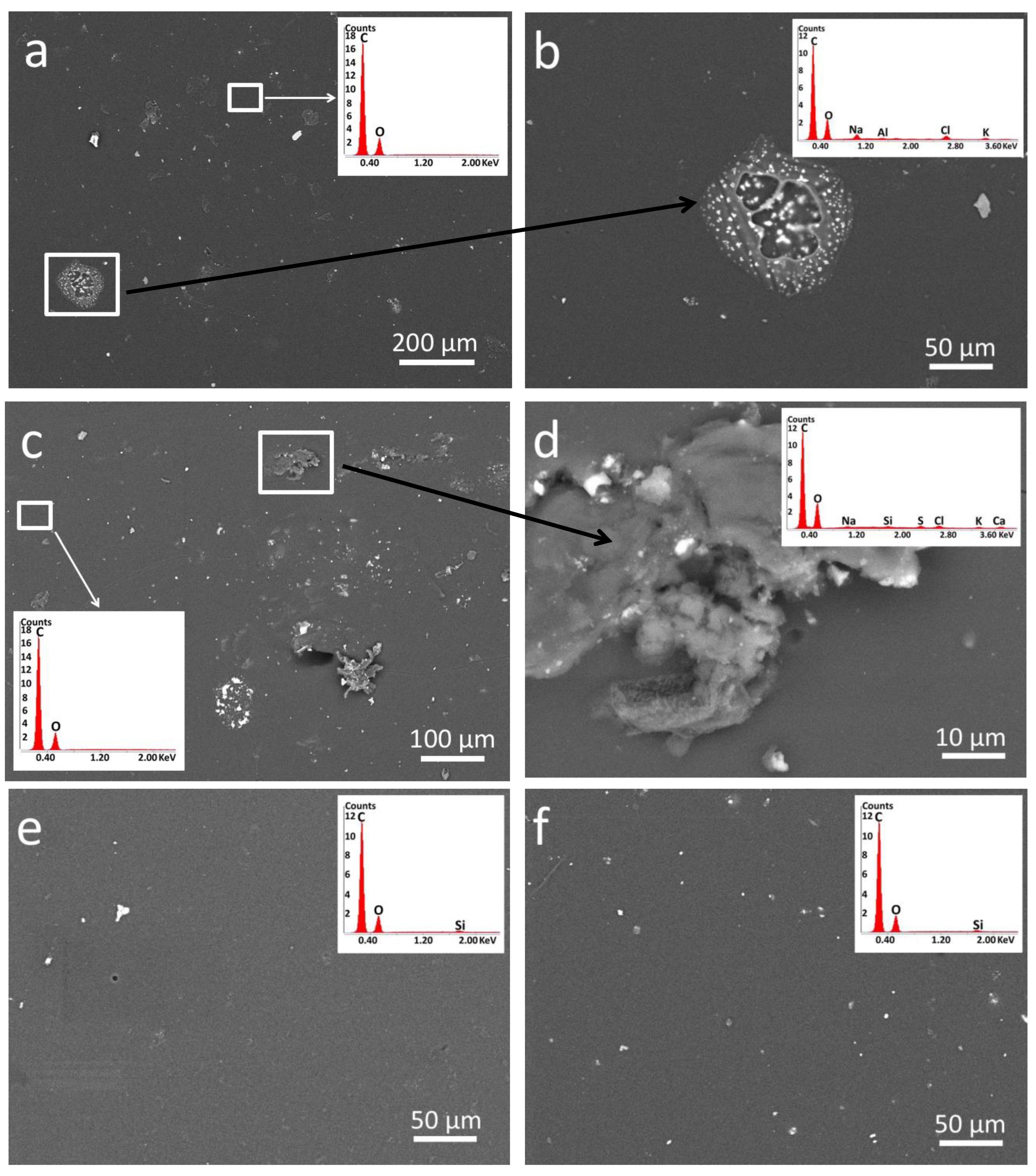 Polymers 15 03652 g009 Polymers 15 03652 g009