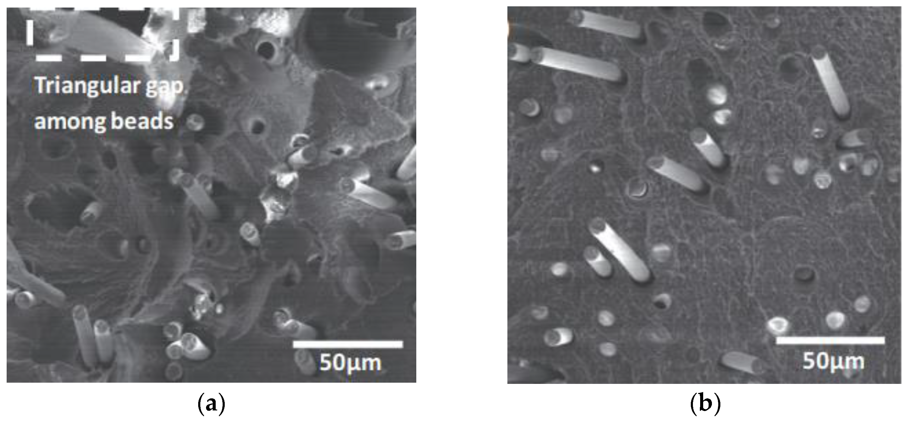 Polymers 15 03653 g006