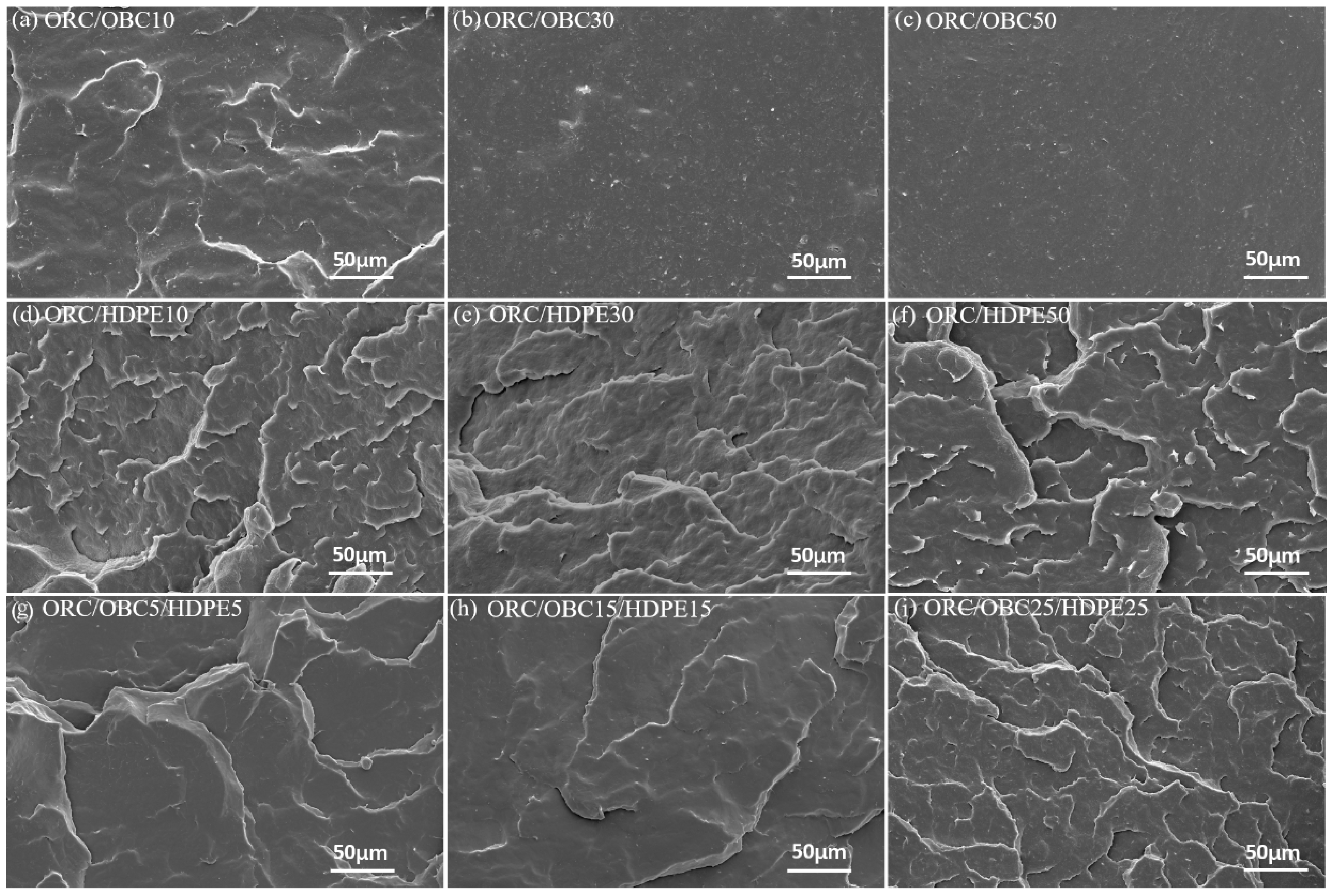 Polymers 15 03655 g005