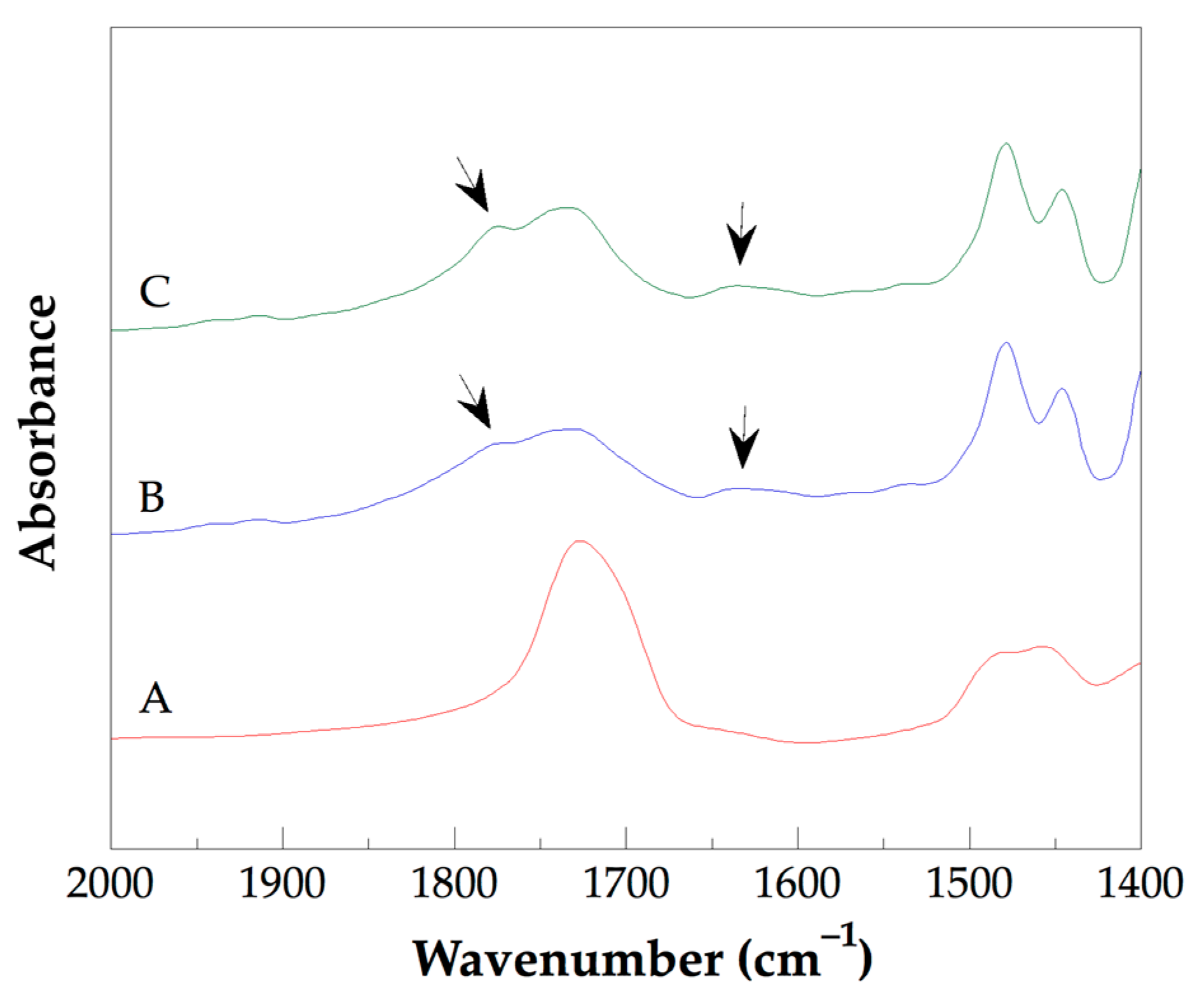 Polymers 15 03657 g002