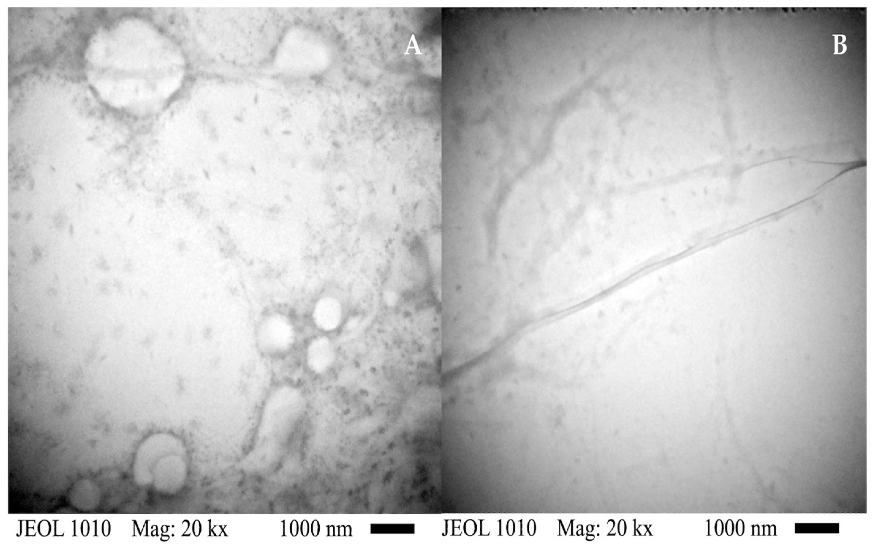 Polymers 15 03657 g006