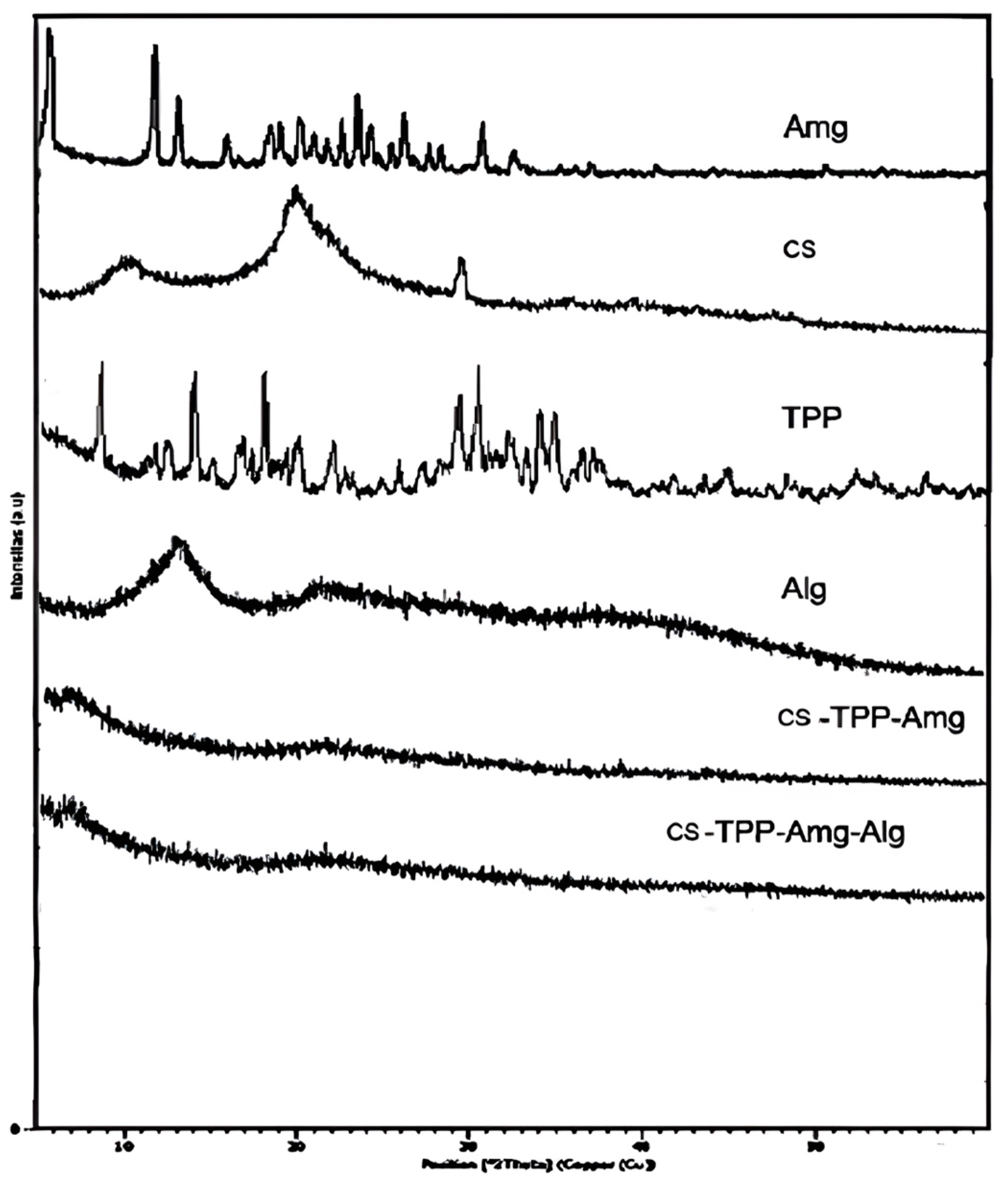 Polymers 15 03658 g005