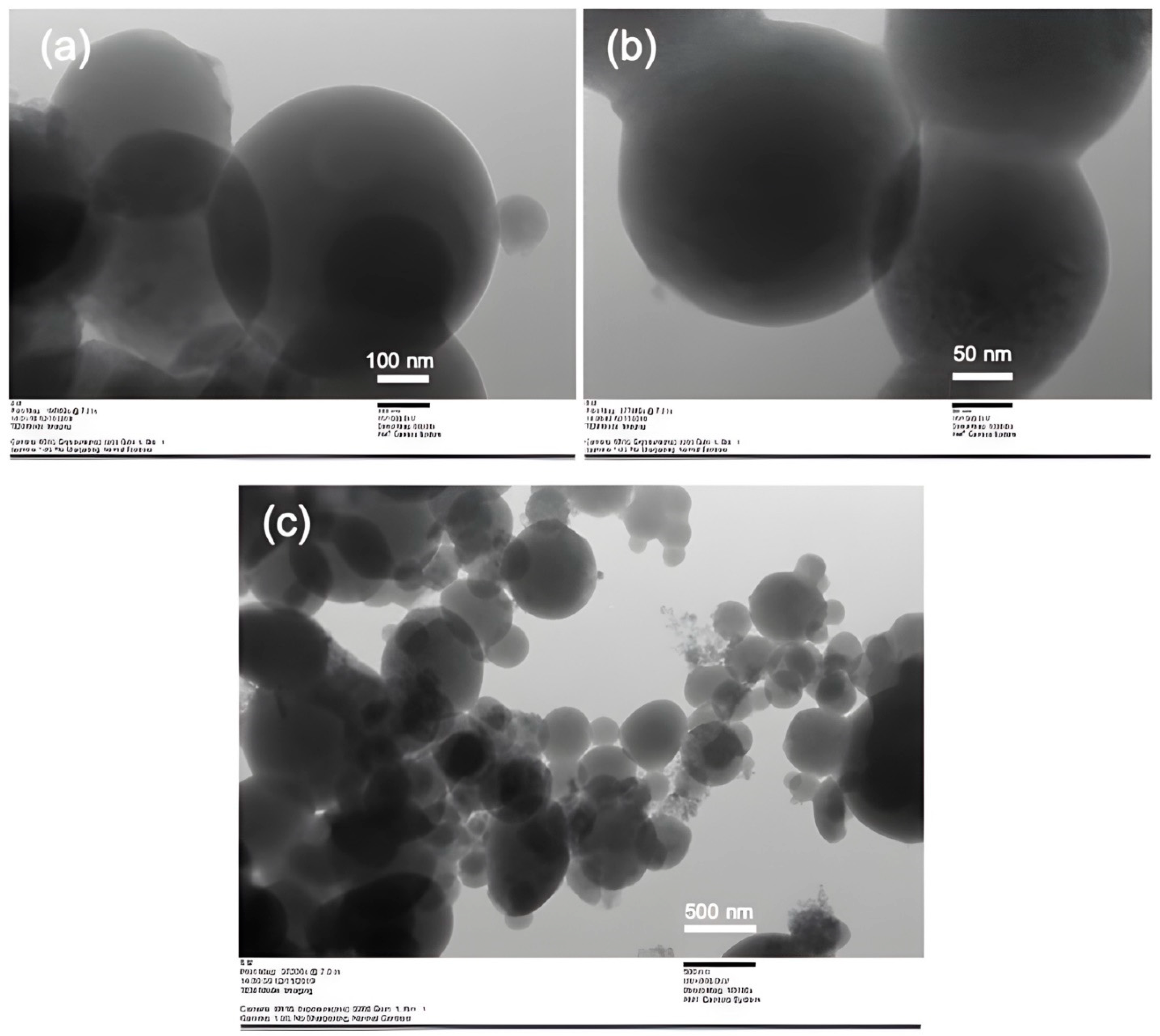 Polymers 15 03658 g007