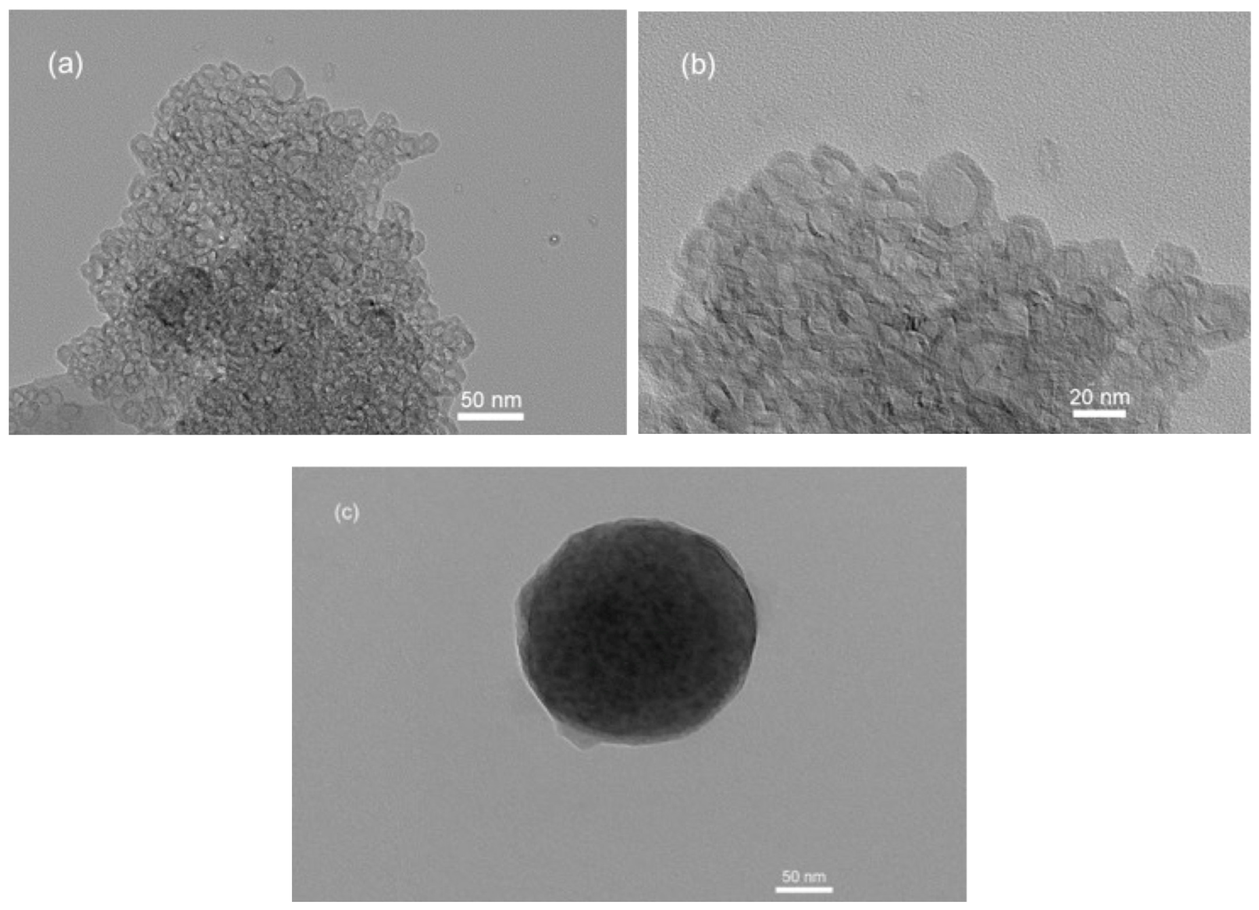 Polymers 15 03658 g008