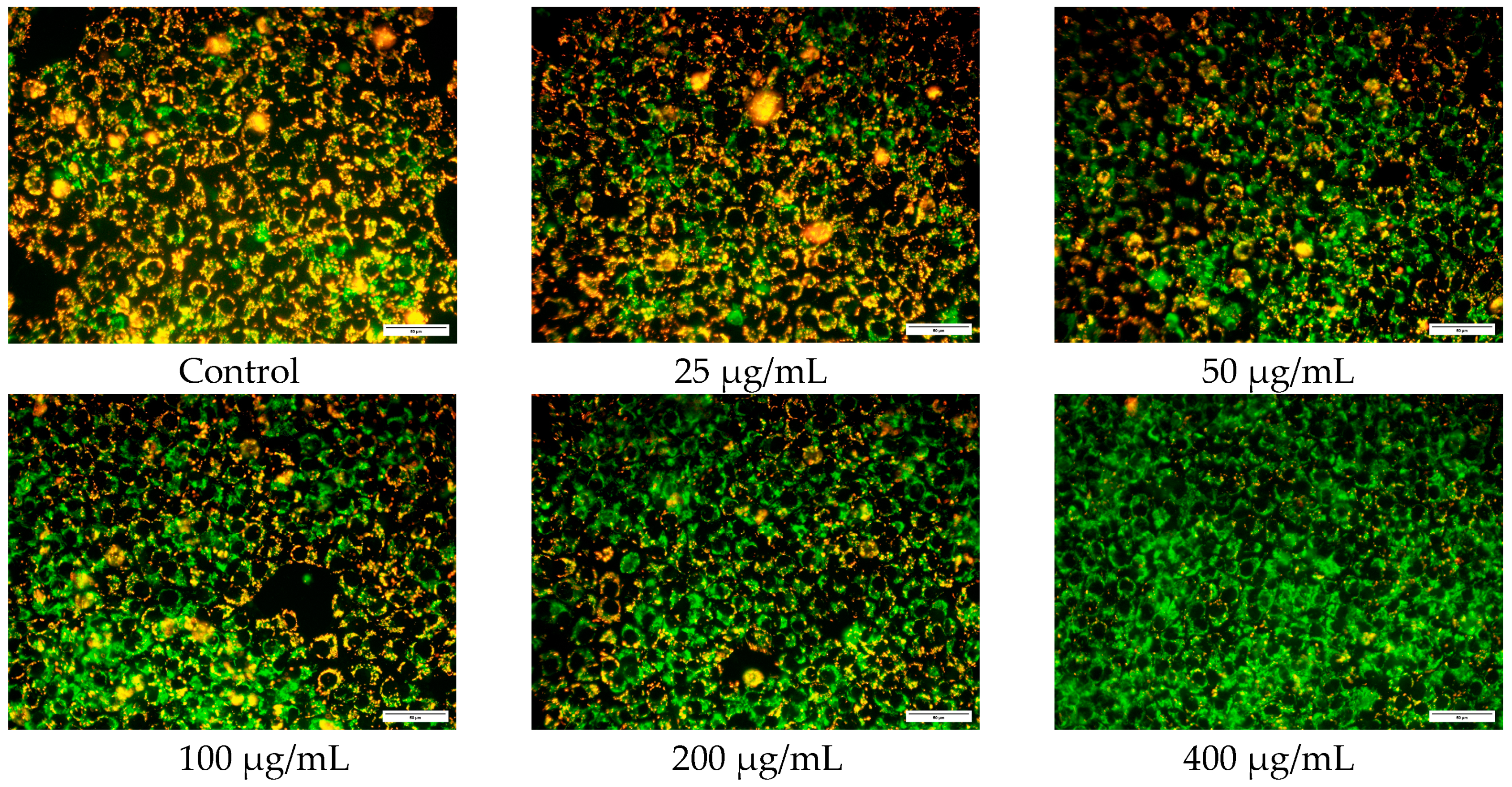 Polymers 15 03659 g009