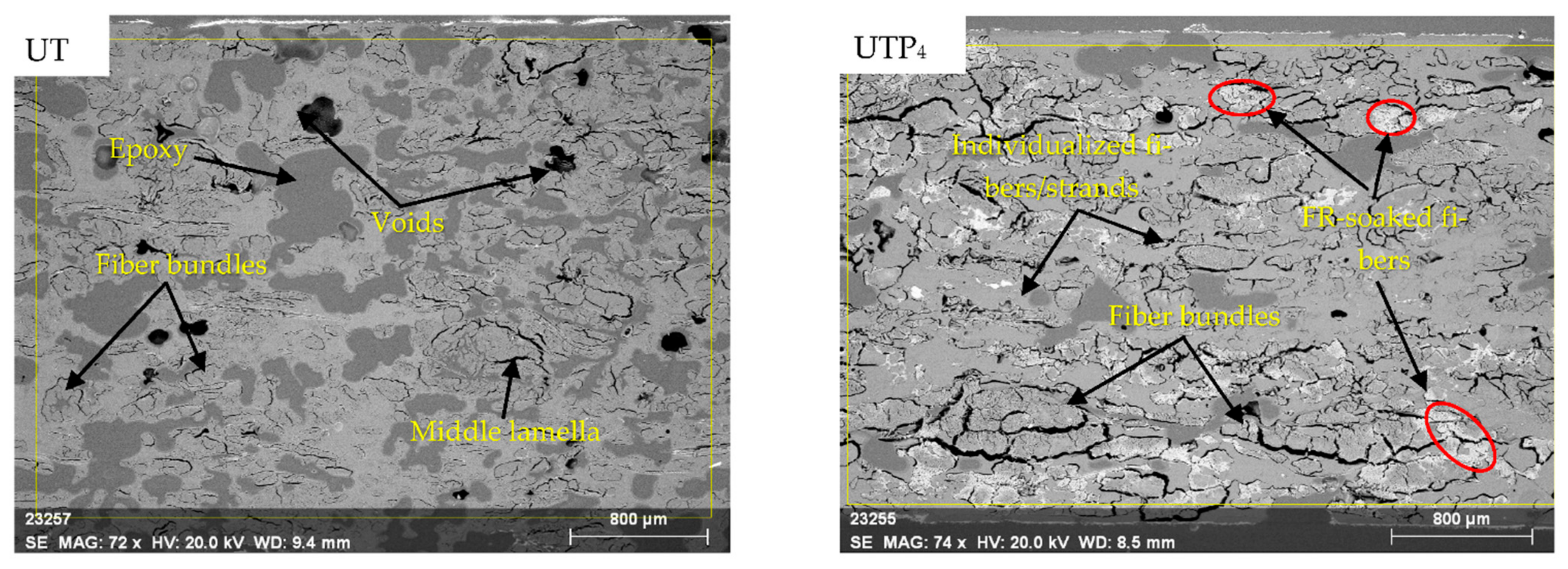 Polymers 15 03661 g002a