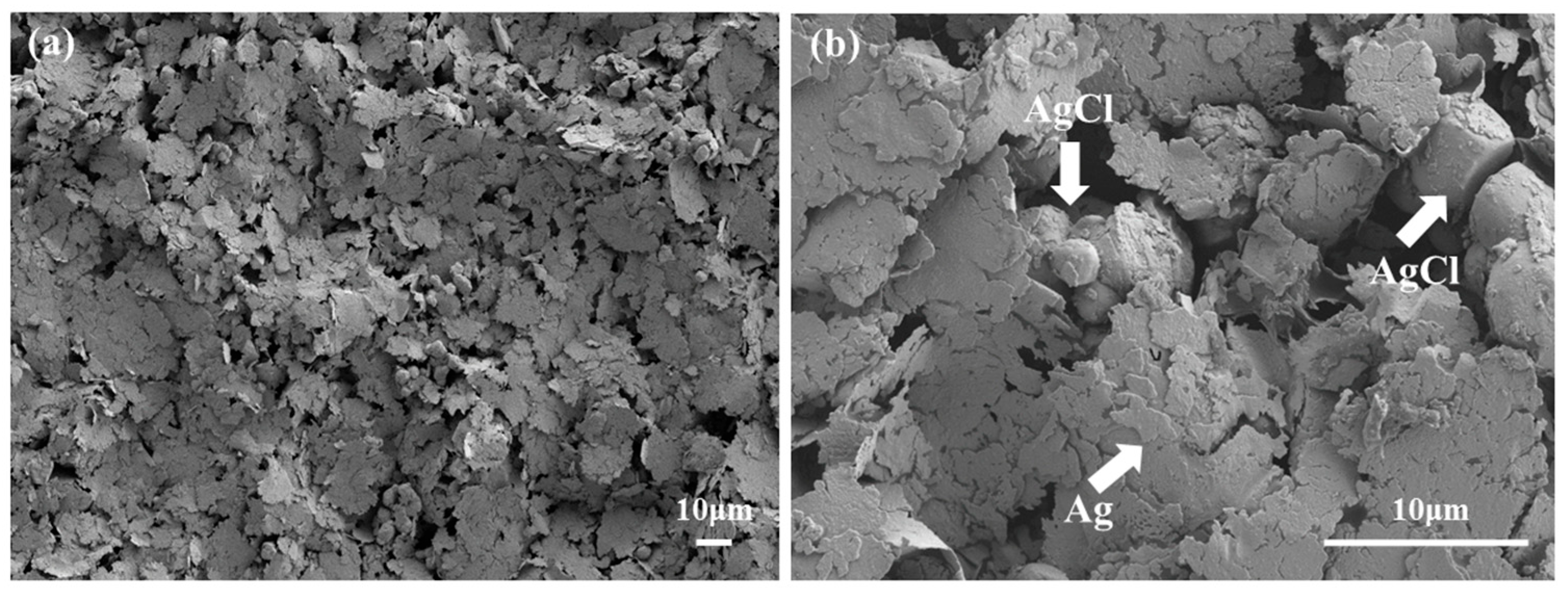 Polymers 15 03665 g004
