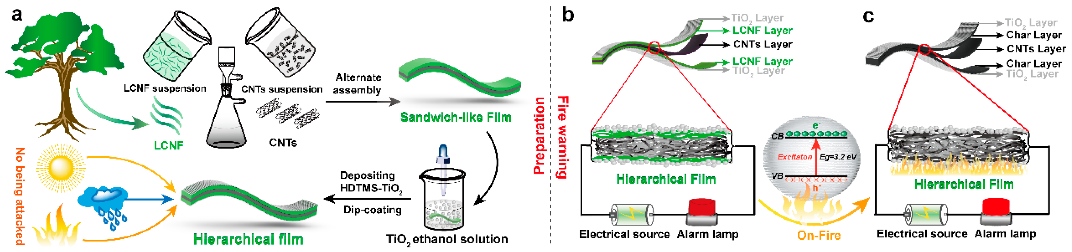 Polymers 15 03666 g001