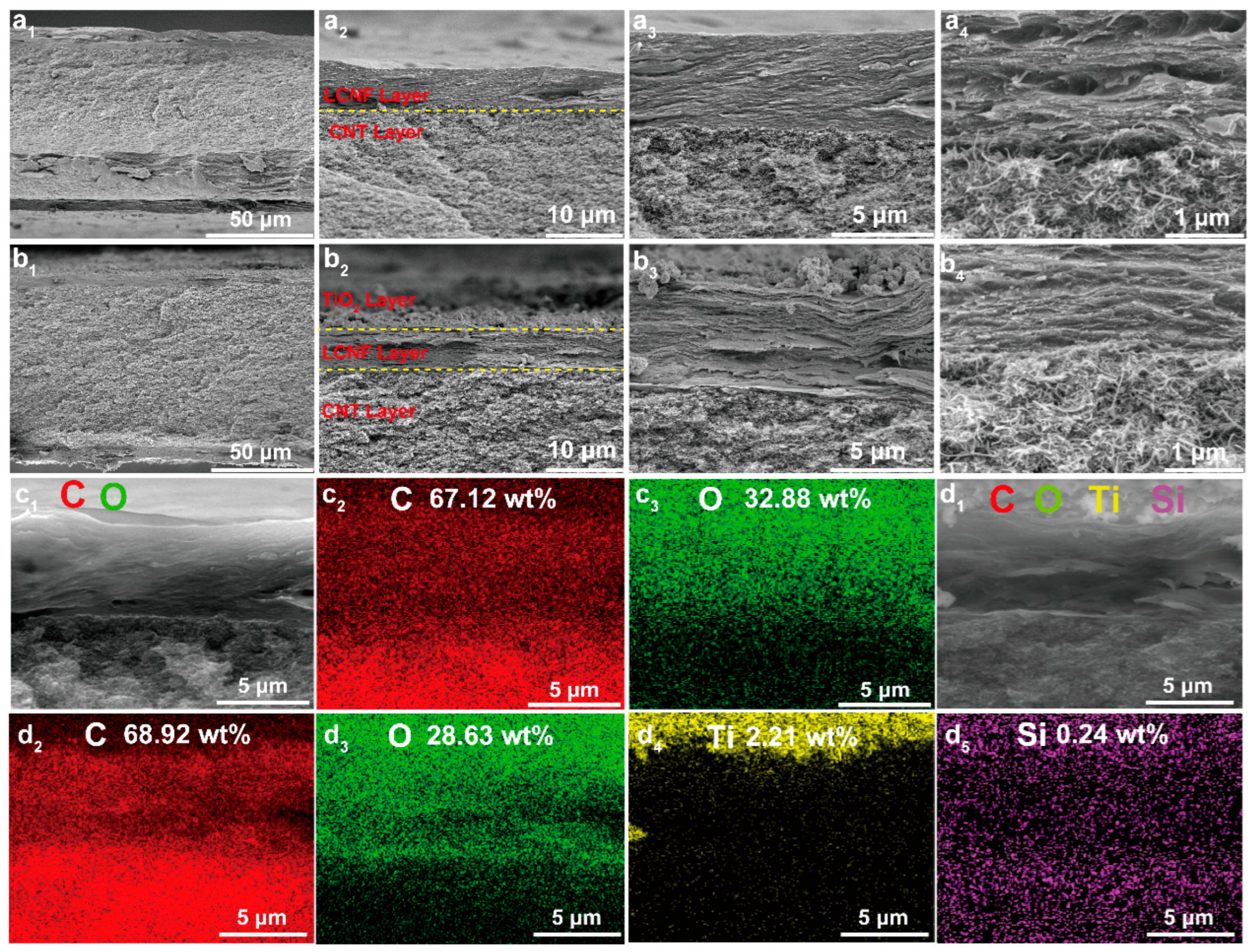 Polymers 15 03666 g004