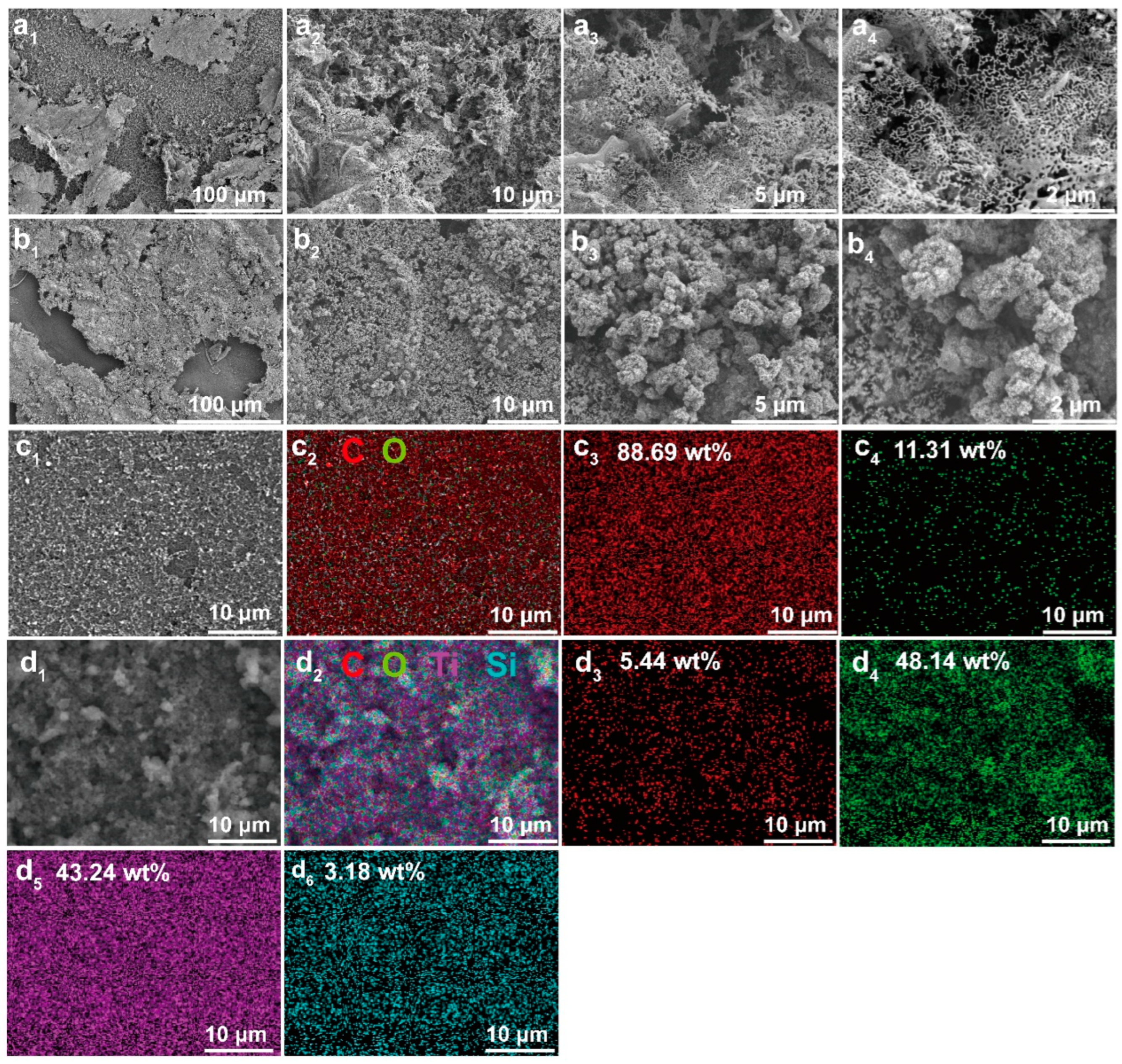 Polymers 15 03666 g006