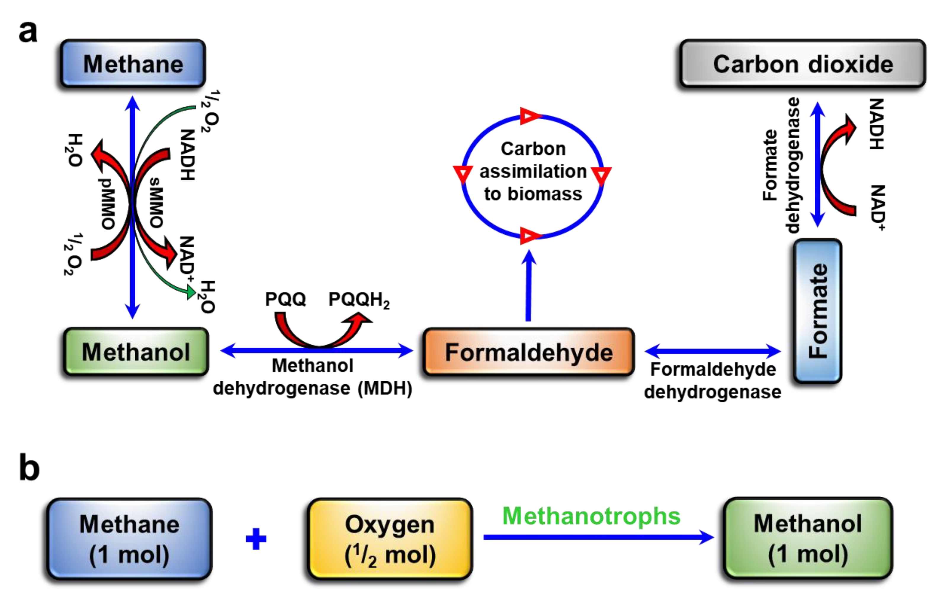 Polymers 15 03667 g001 Polymers 15 03667 g001