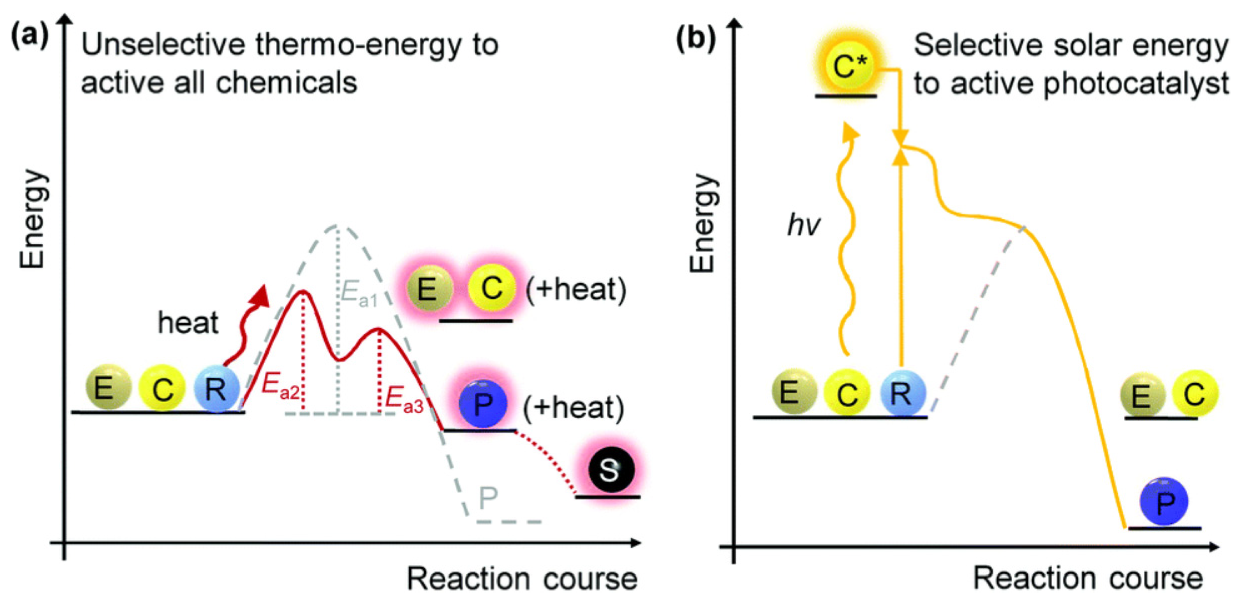 Polymers 15 03671 g005