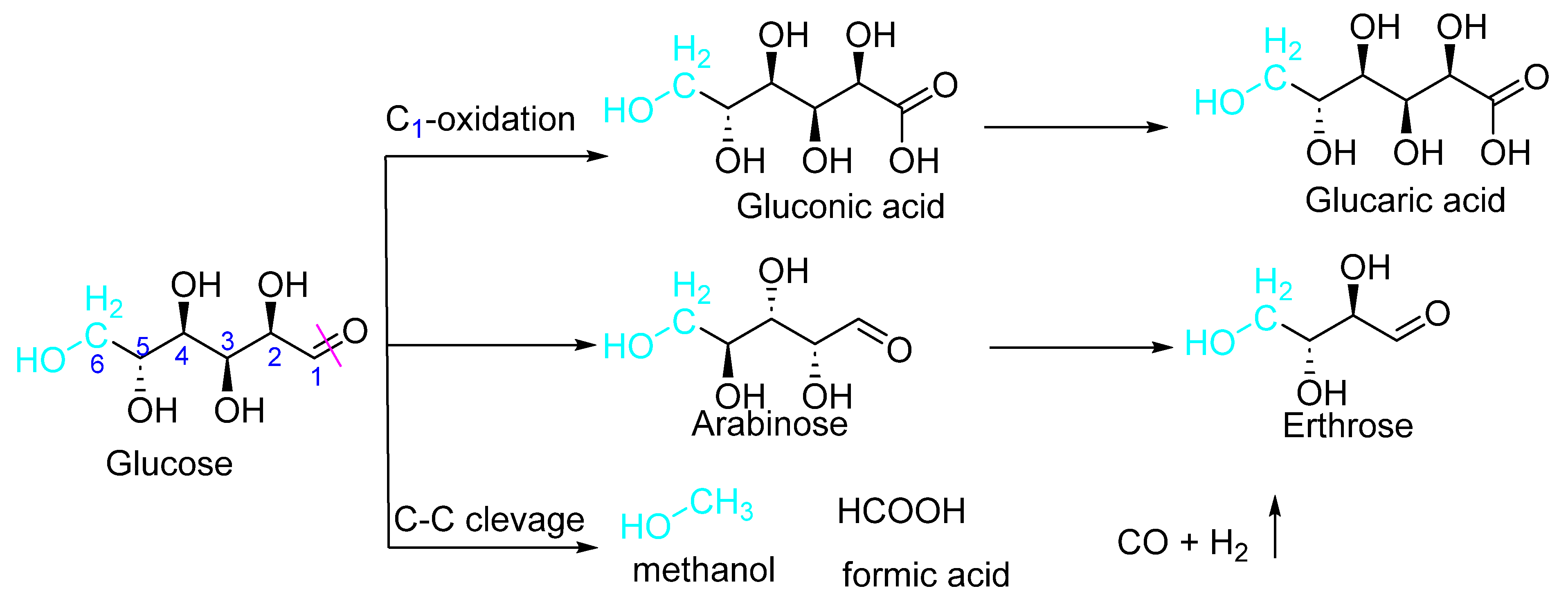 Polymers 15 03671 g008