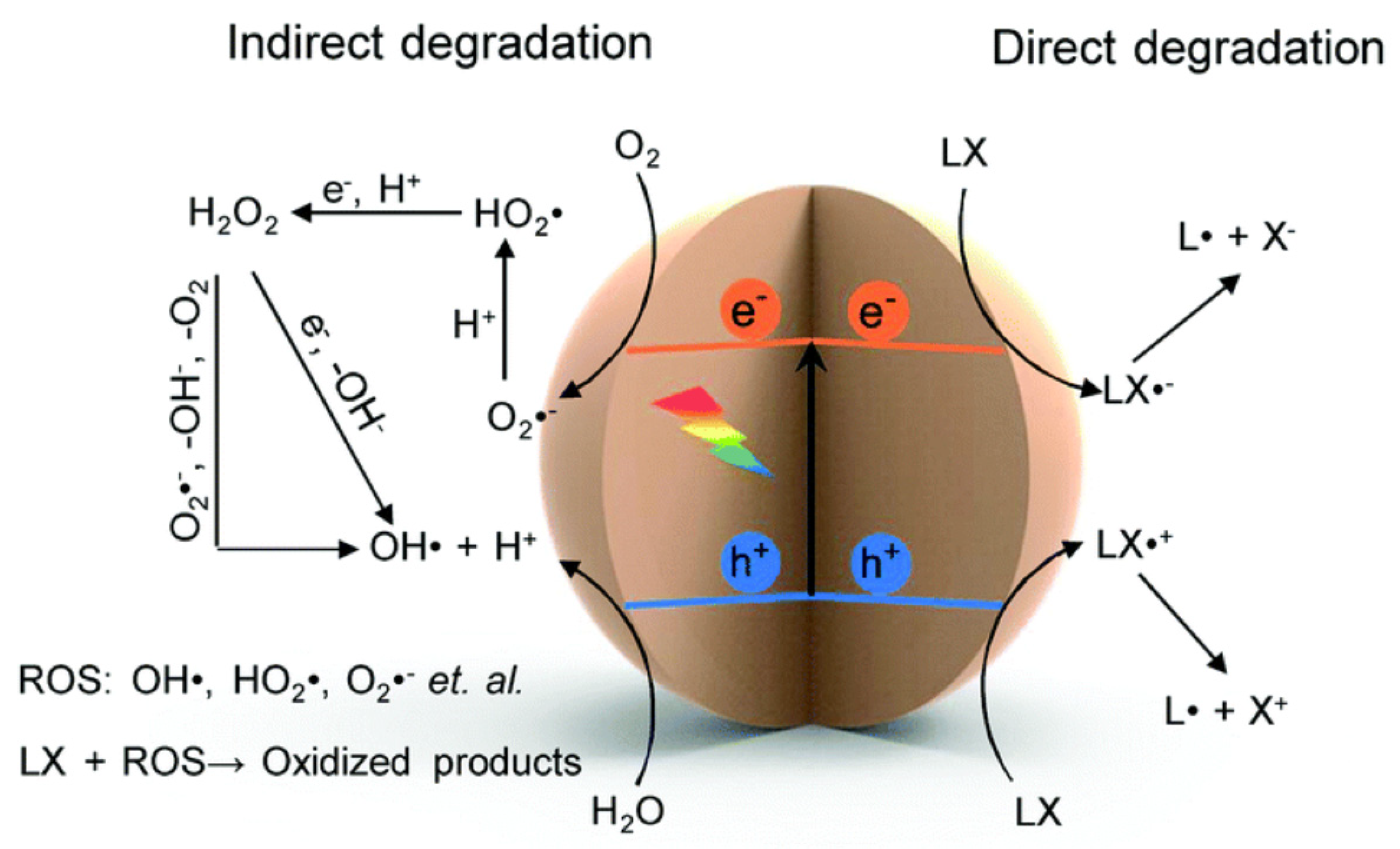 Polymers 15 03671 g009
