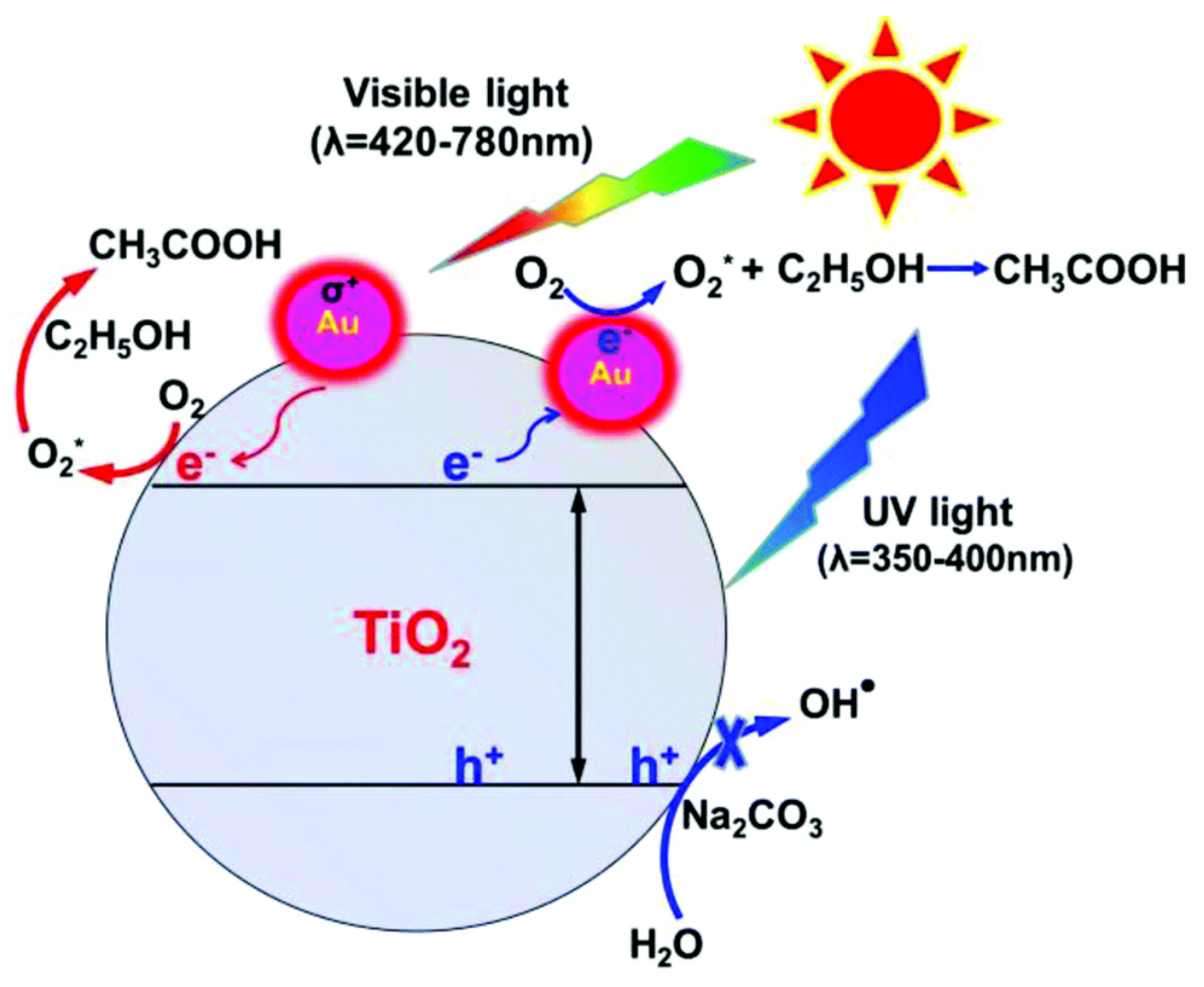 Polymers 15 03671 g010