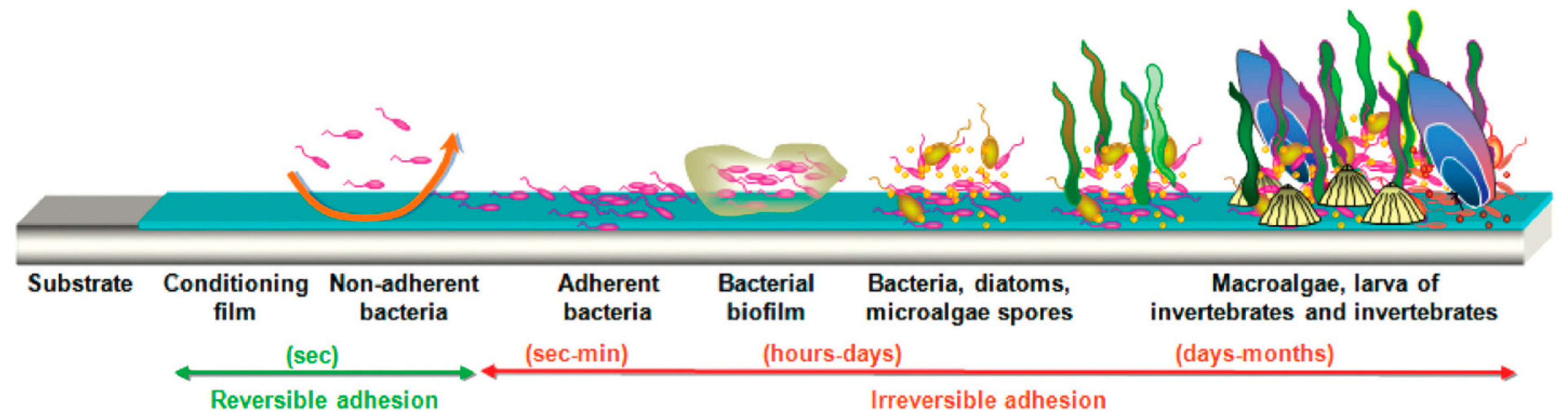 Polymers 15 03677 g001