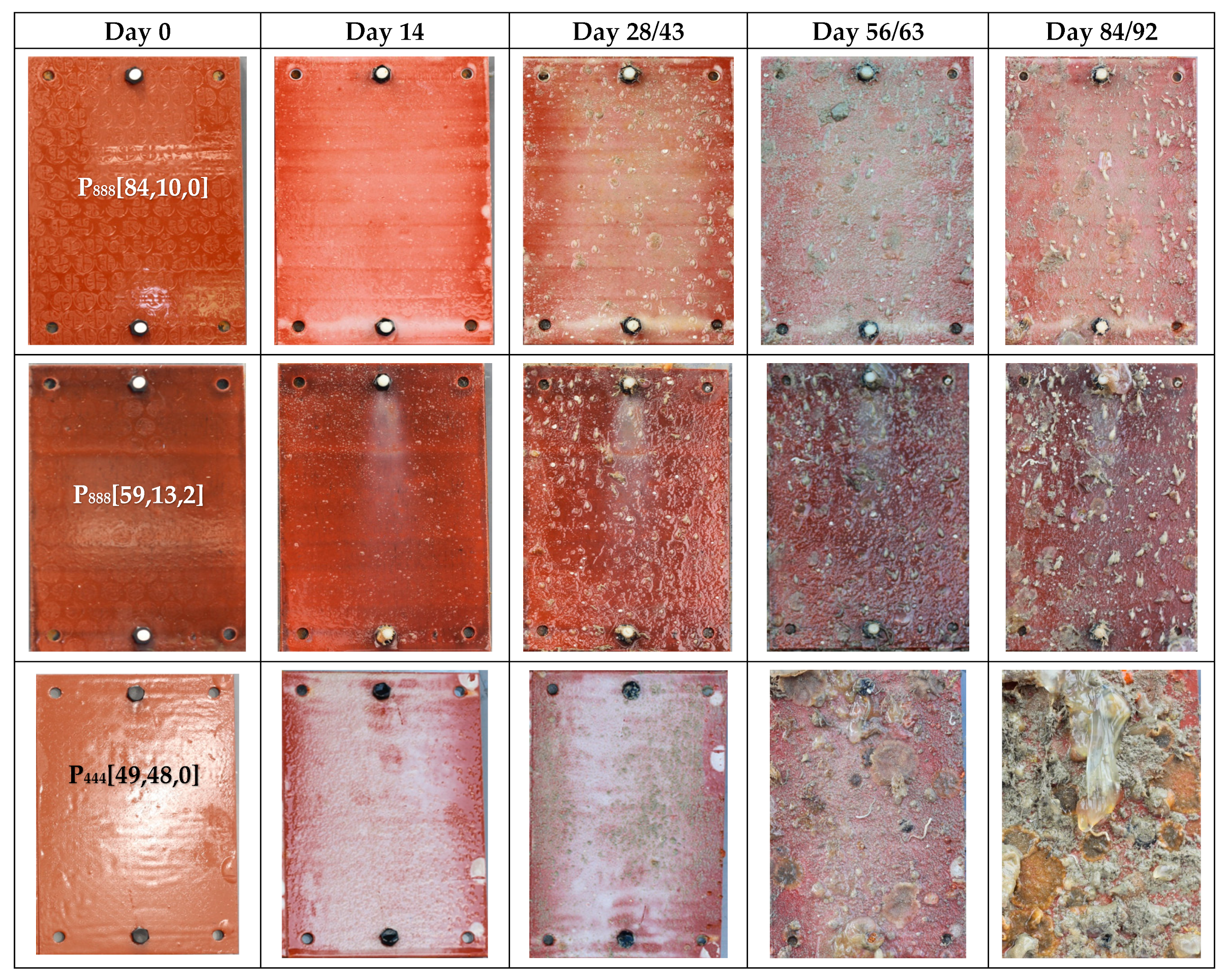 Polymers 15 03677 g003