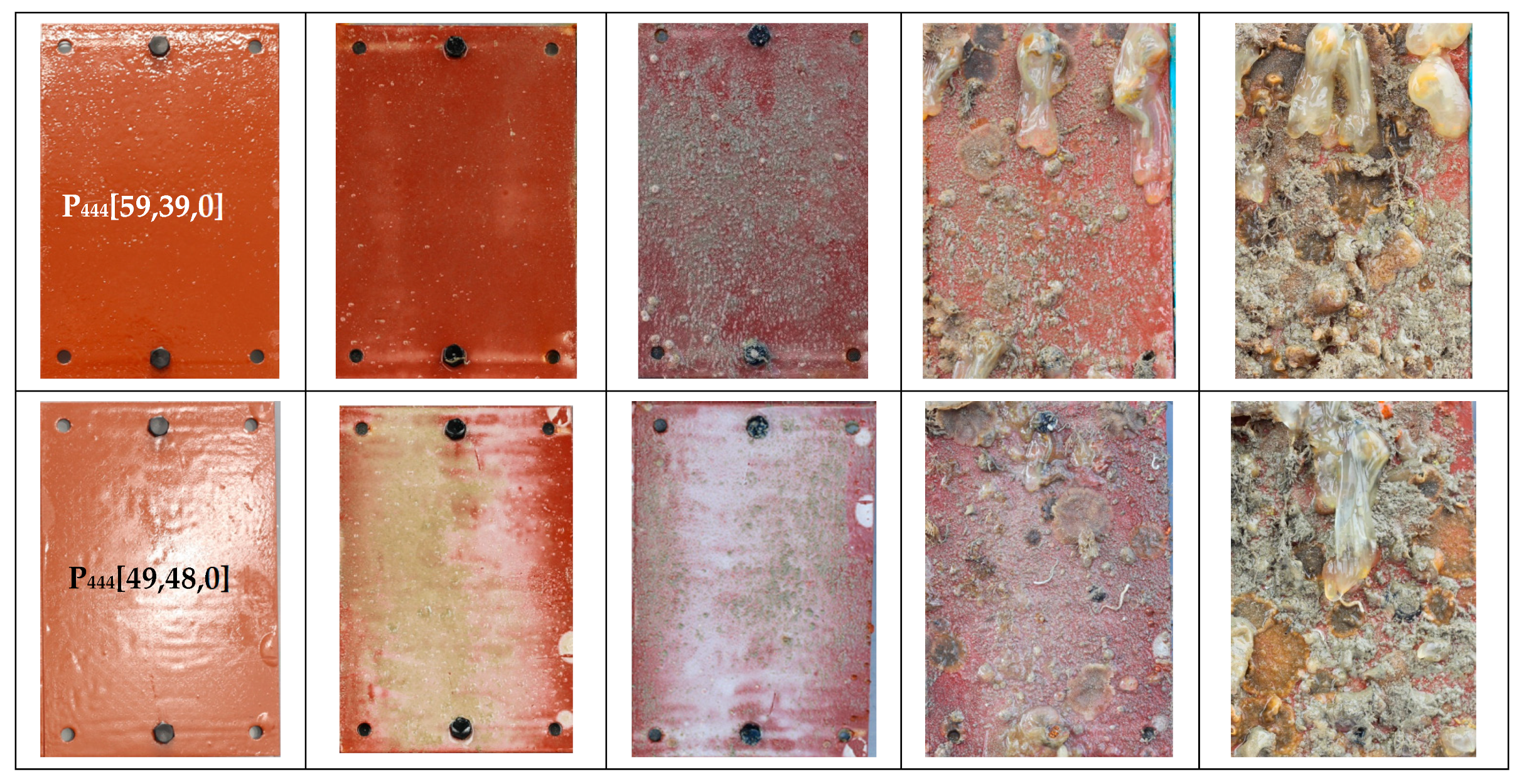 Polymers 15 03677 g005b