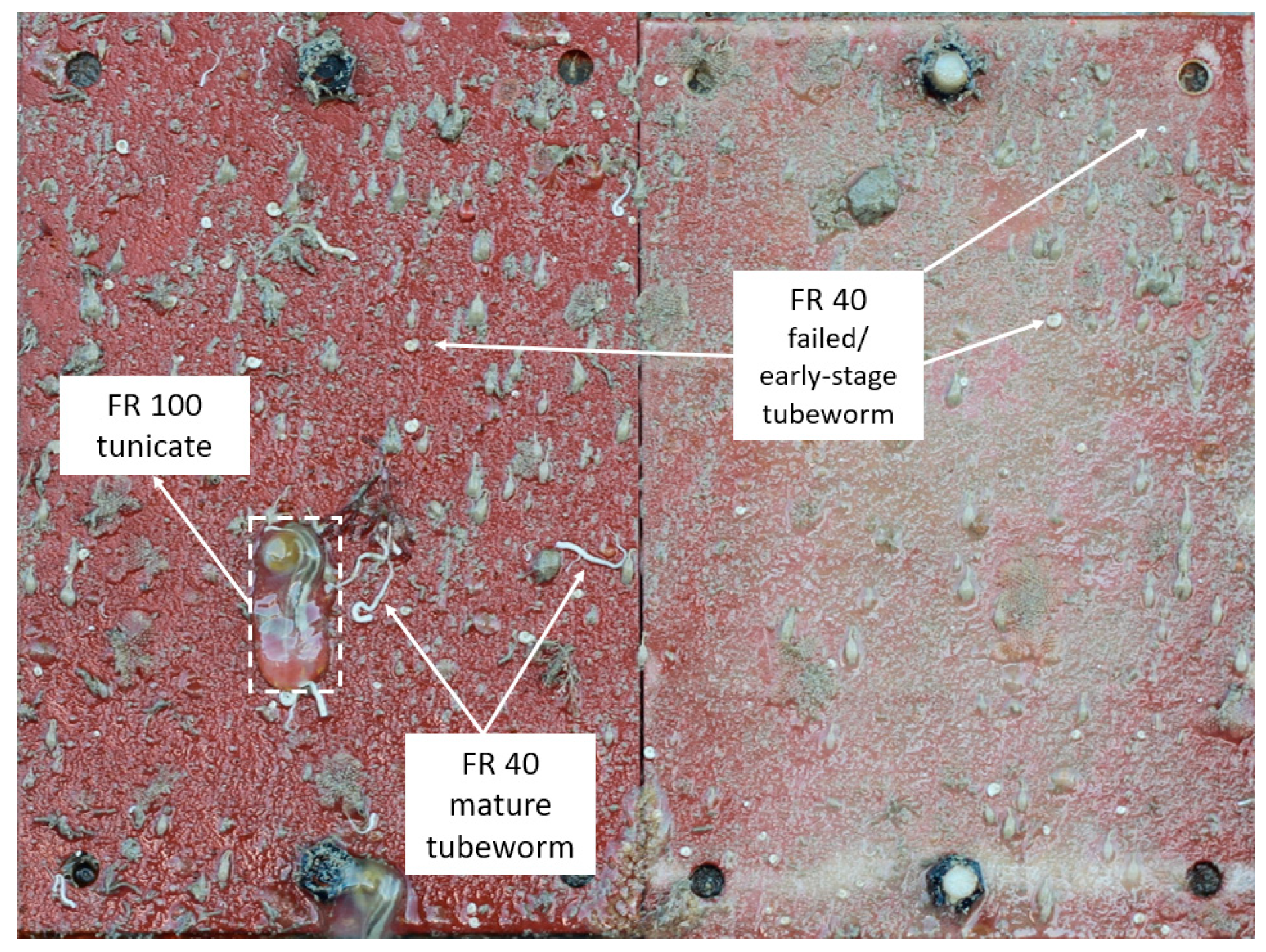 Polymers 15 03677 g006