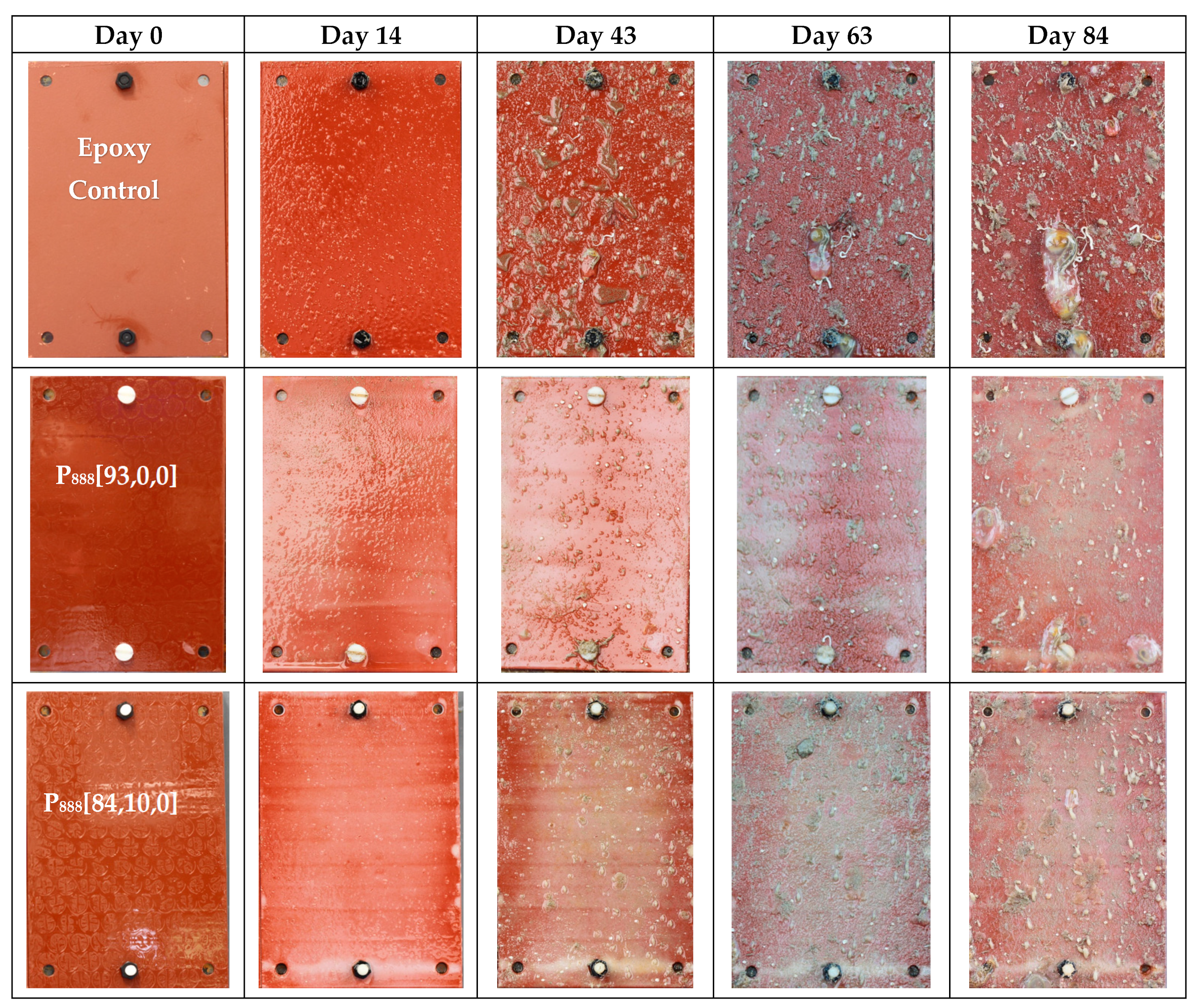 Polymers 15 03677 g008a