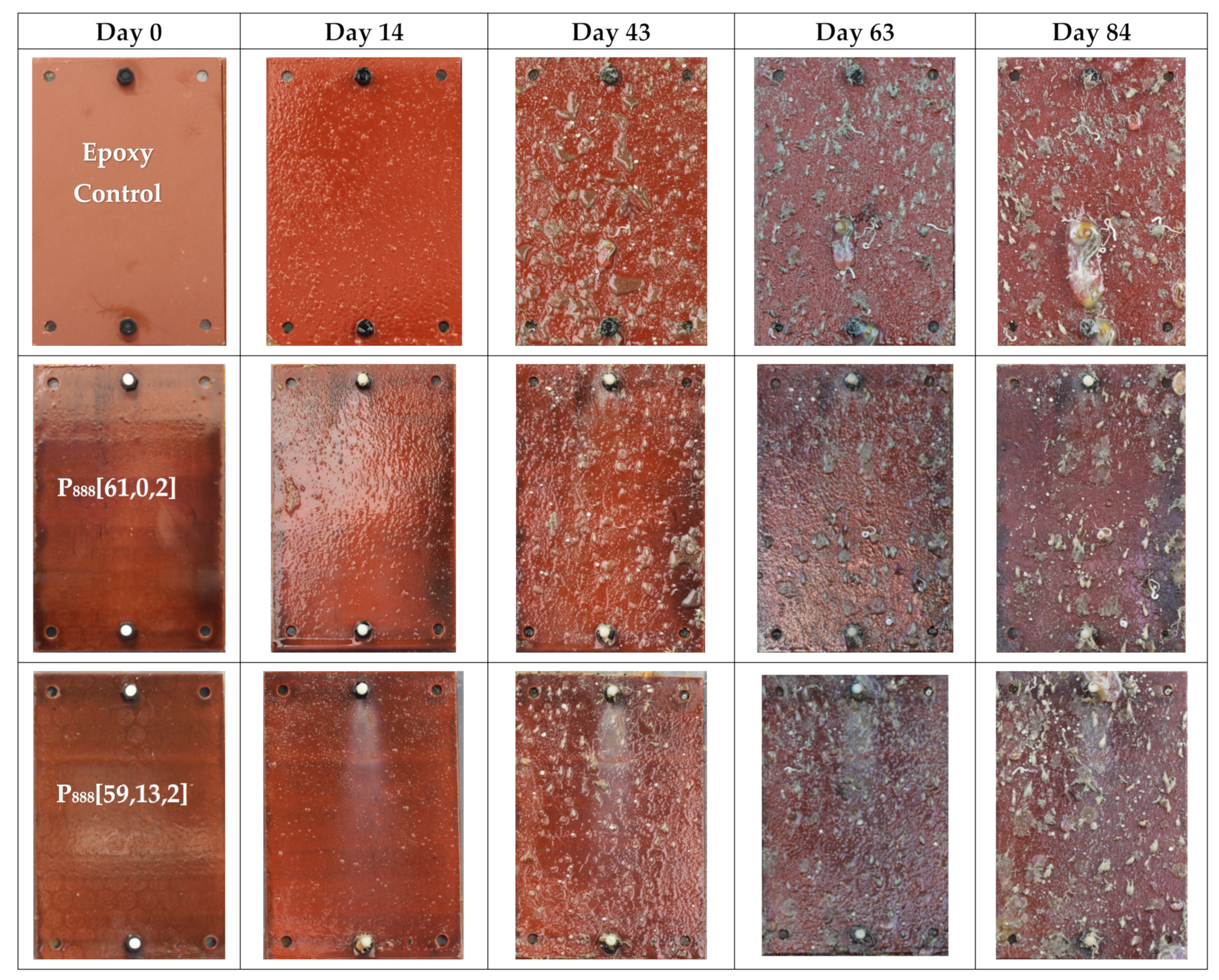Polymers 15 03677 g009a