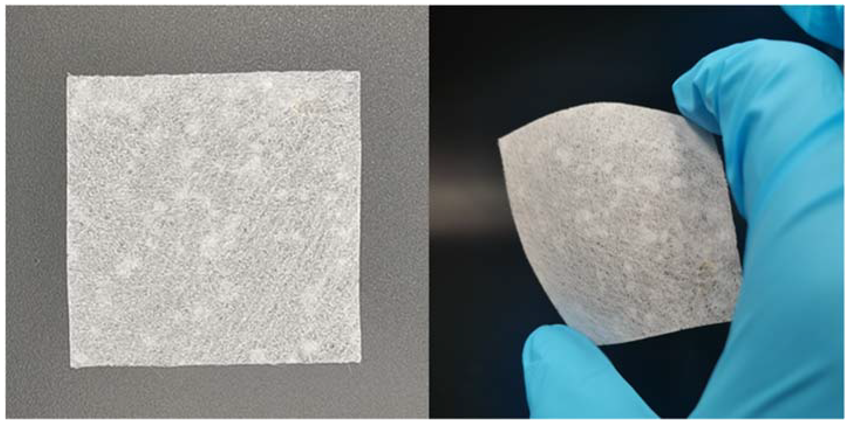 Polymers 15 03678 g002