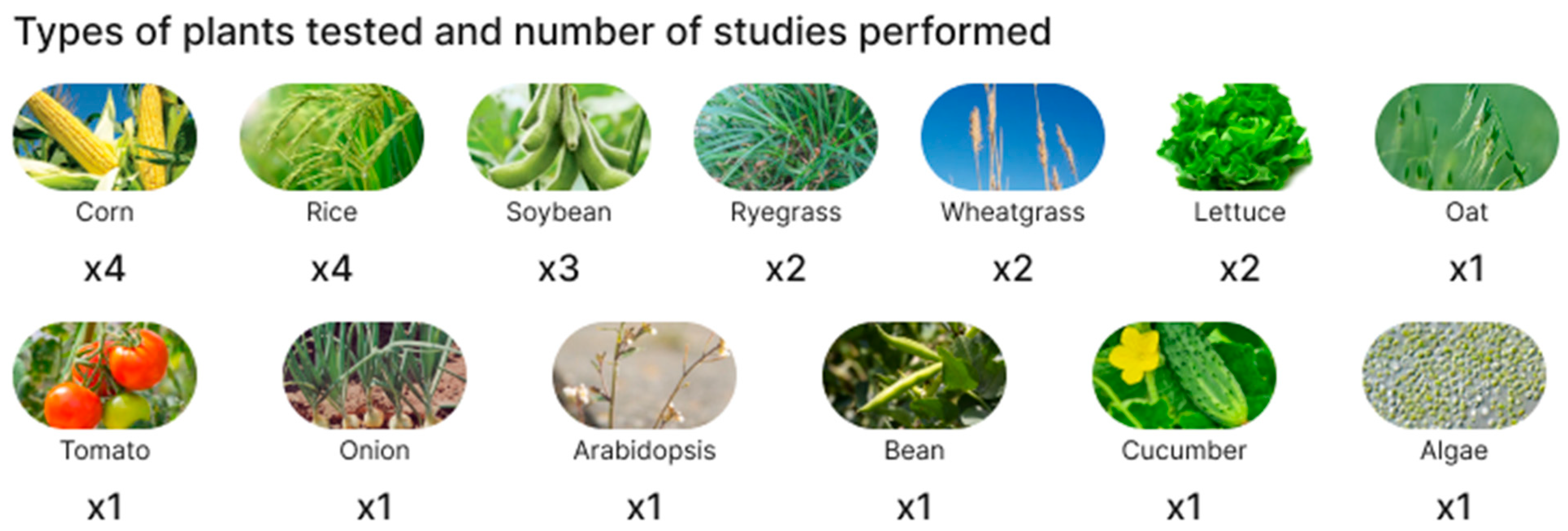 Polymers 15 03680 g002