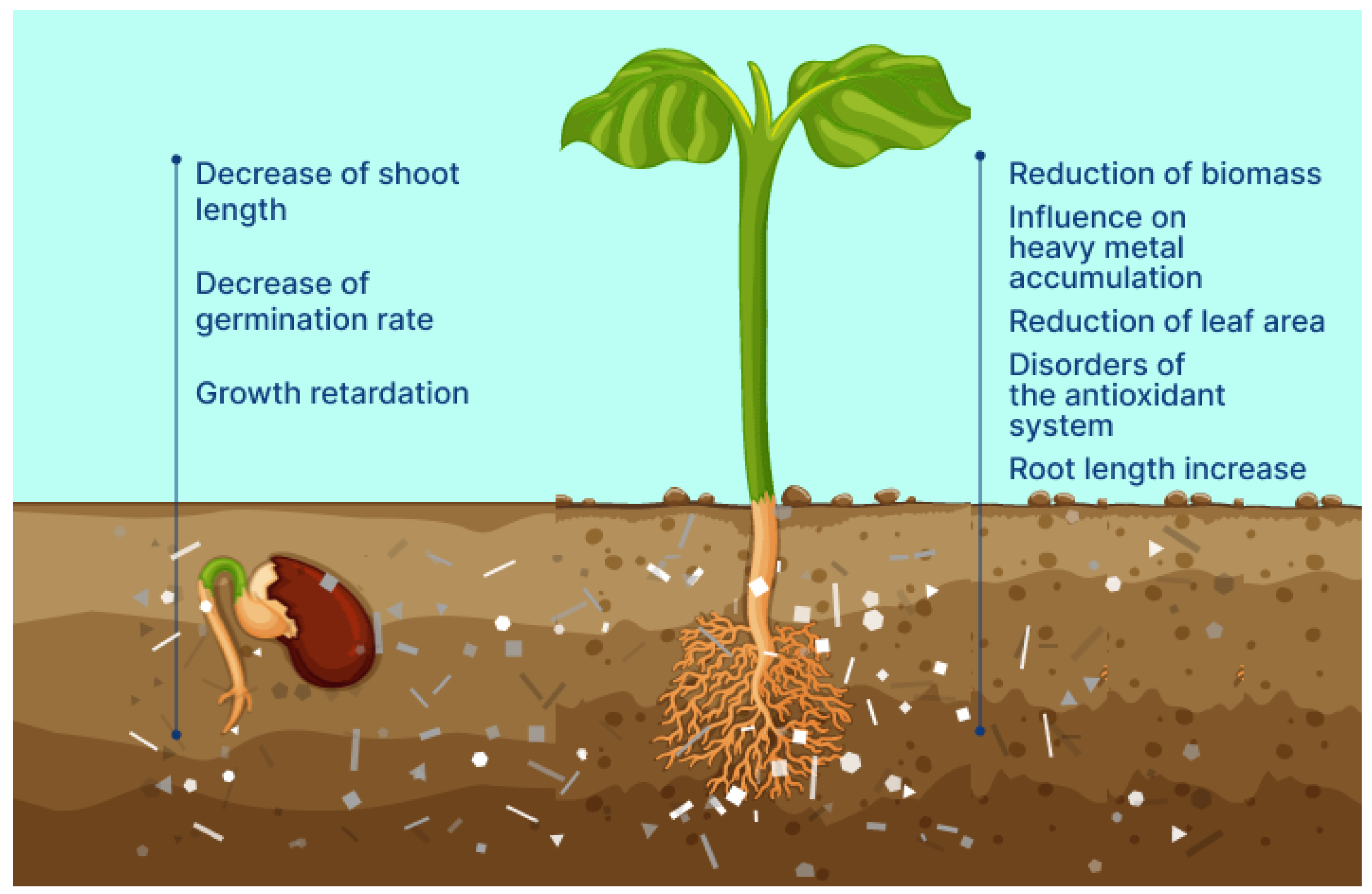 Polymers 15 03680 g006