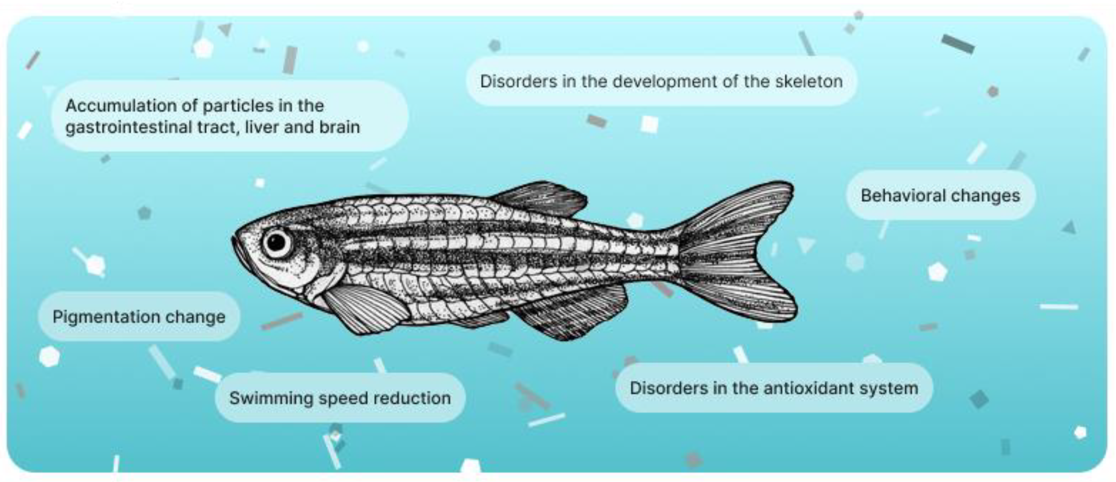Polymers 15 03680 g007