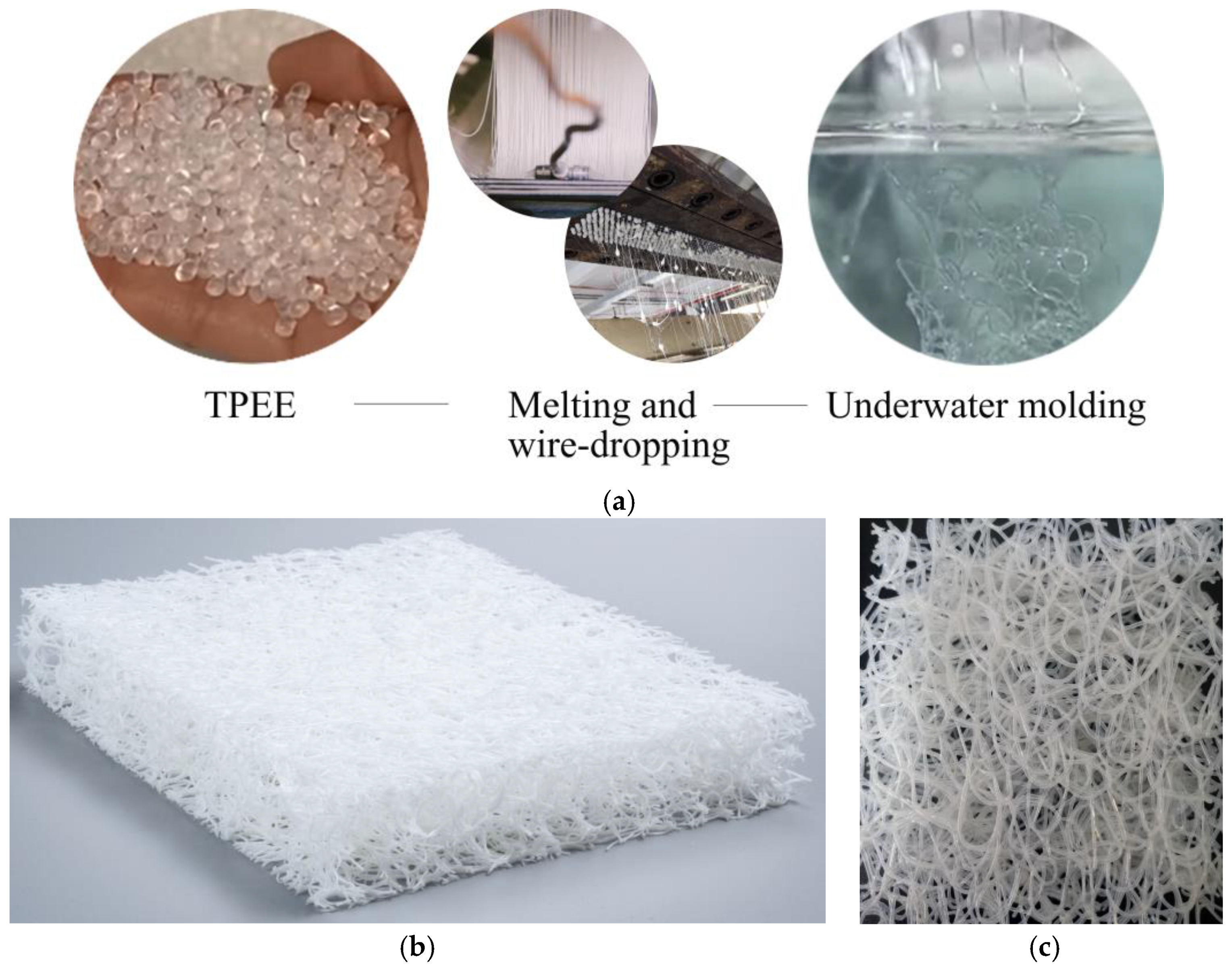 Polymers 15 03681 g002