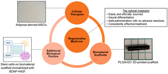 Polymers 15 03685 g001