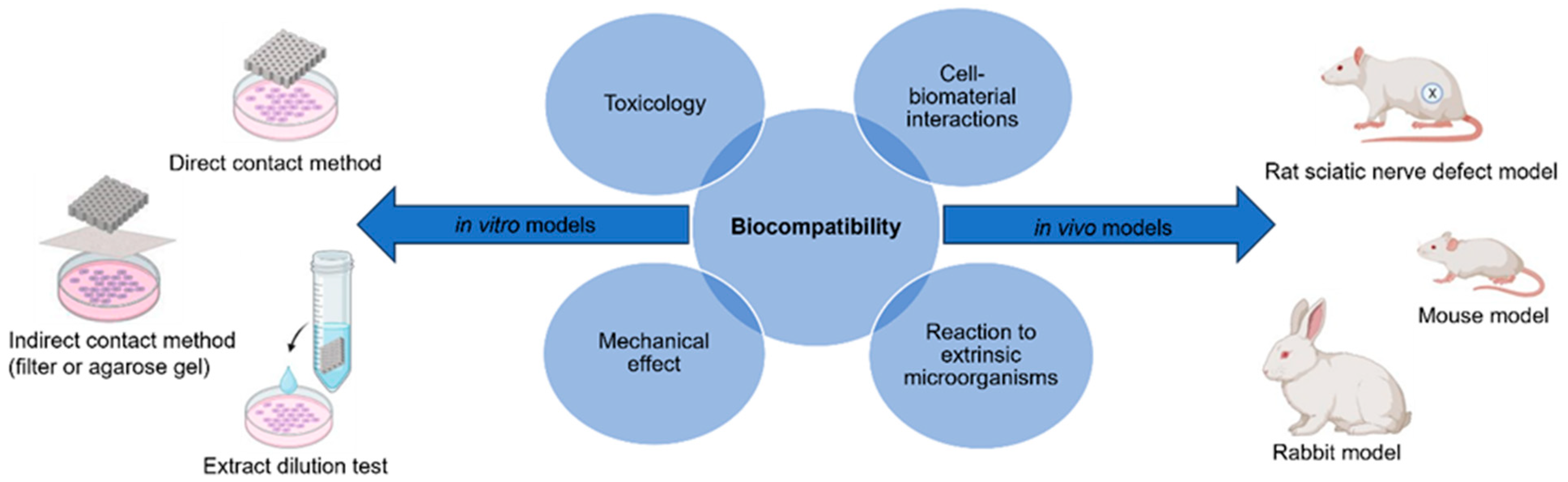 Polymers 15 03685 g002