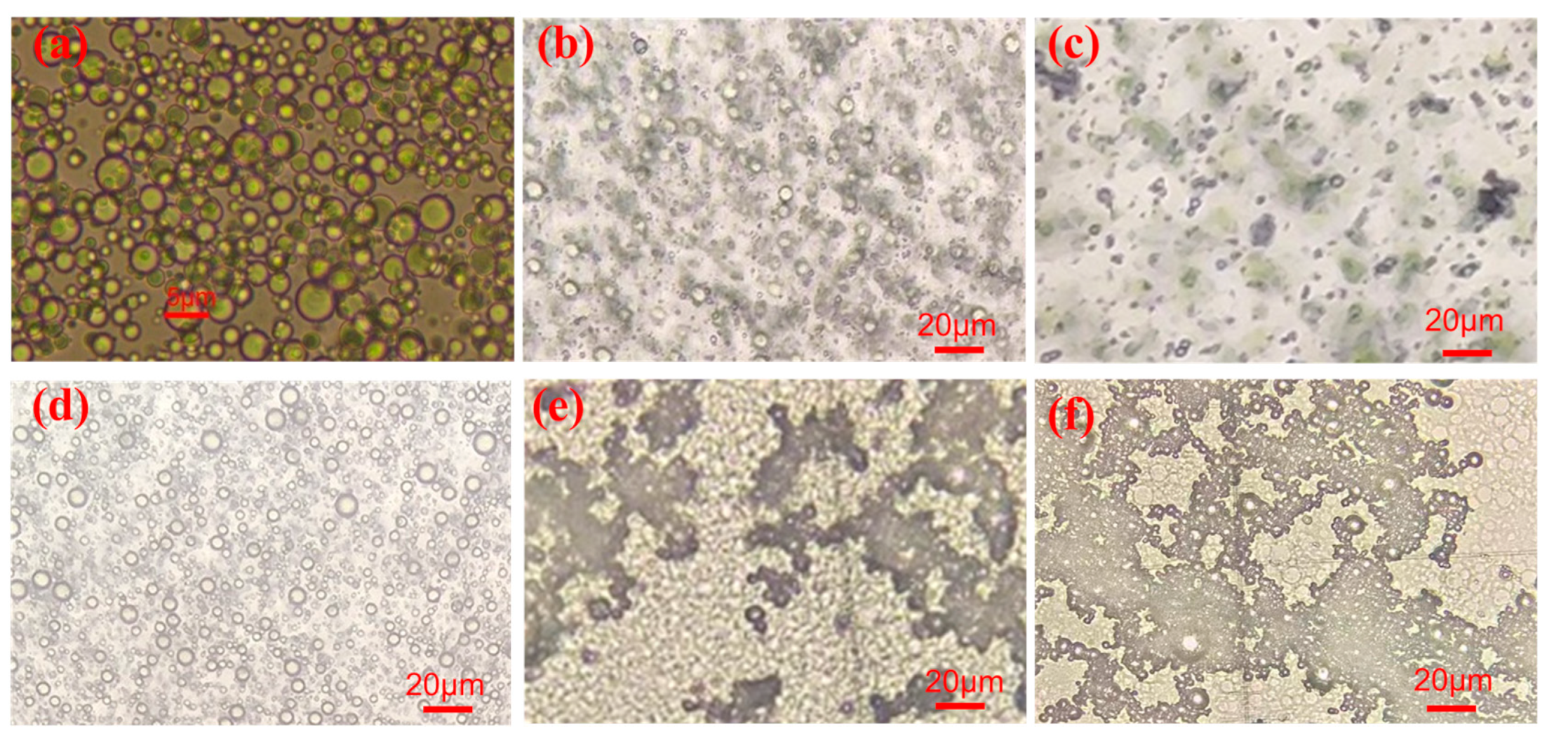 Polymers 15 03686 g008