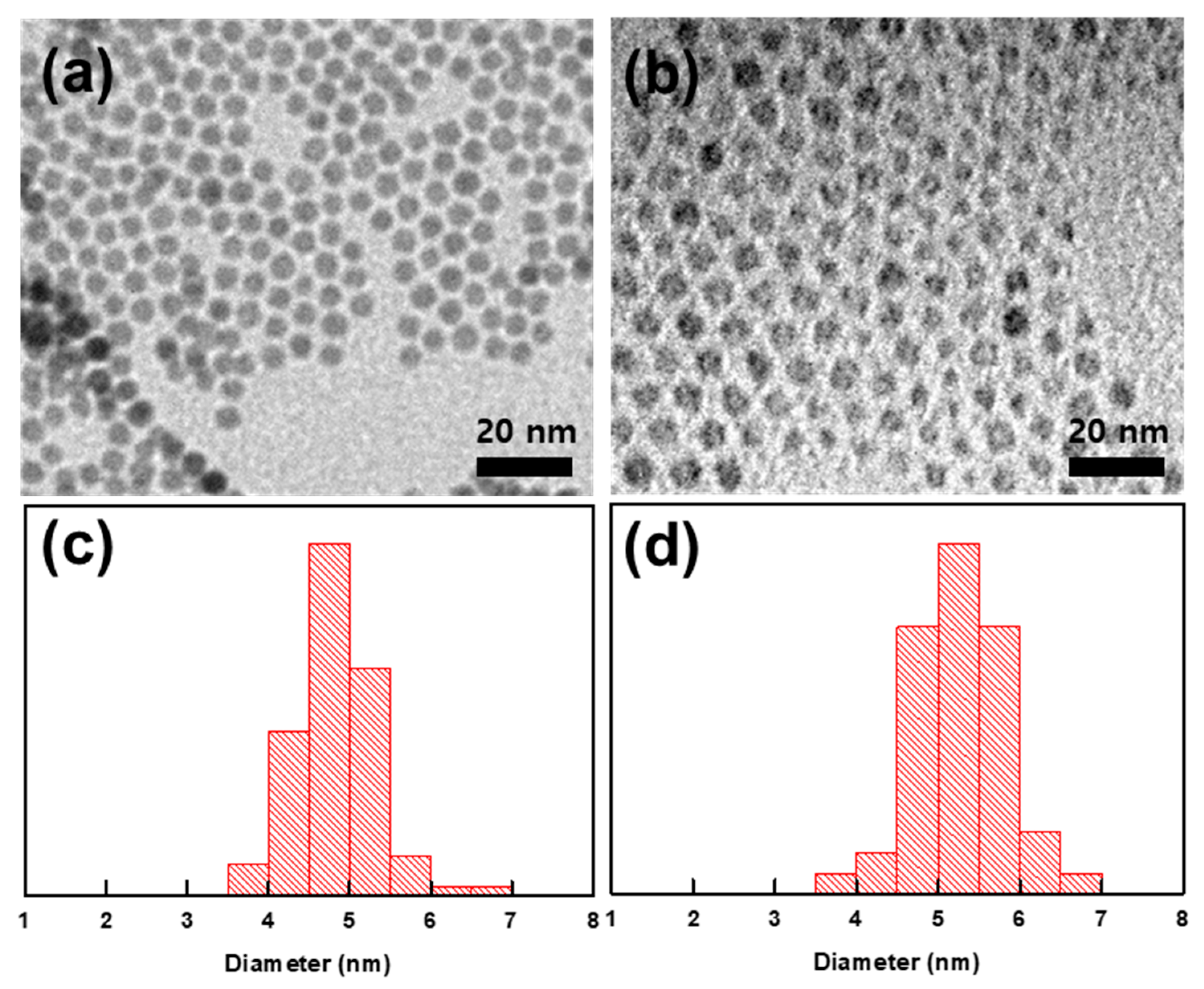 Polymers 15 03689 g002