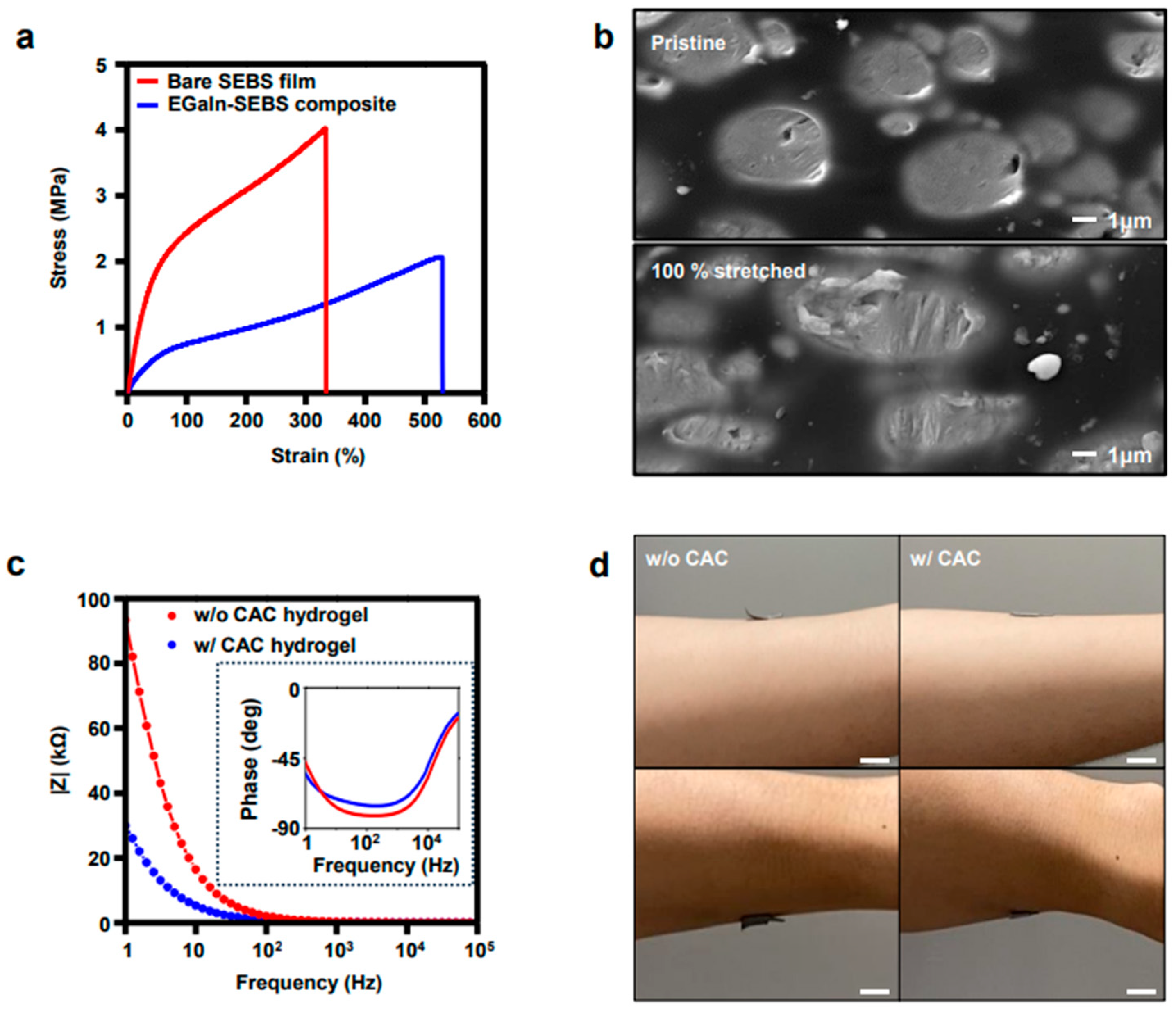Polymers 15 03692 g003