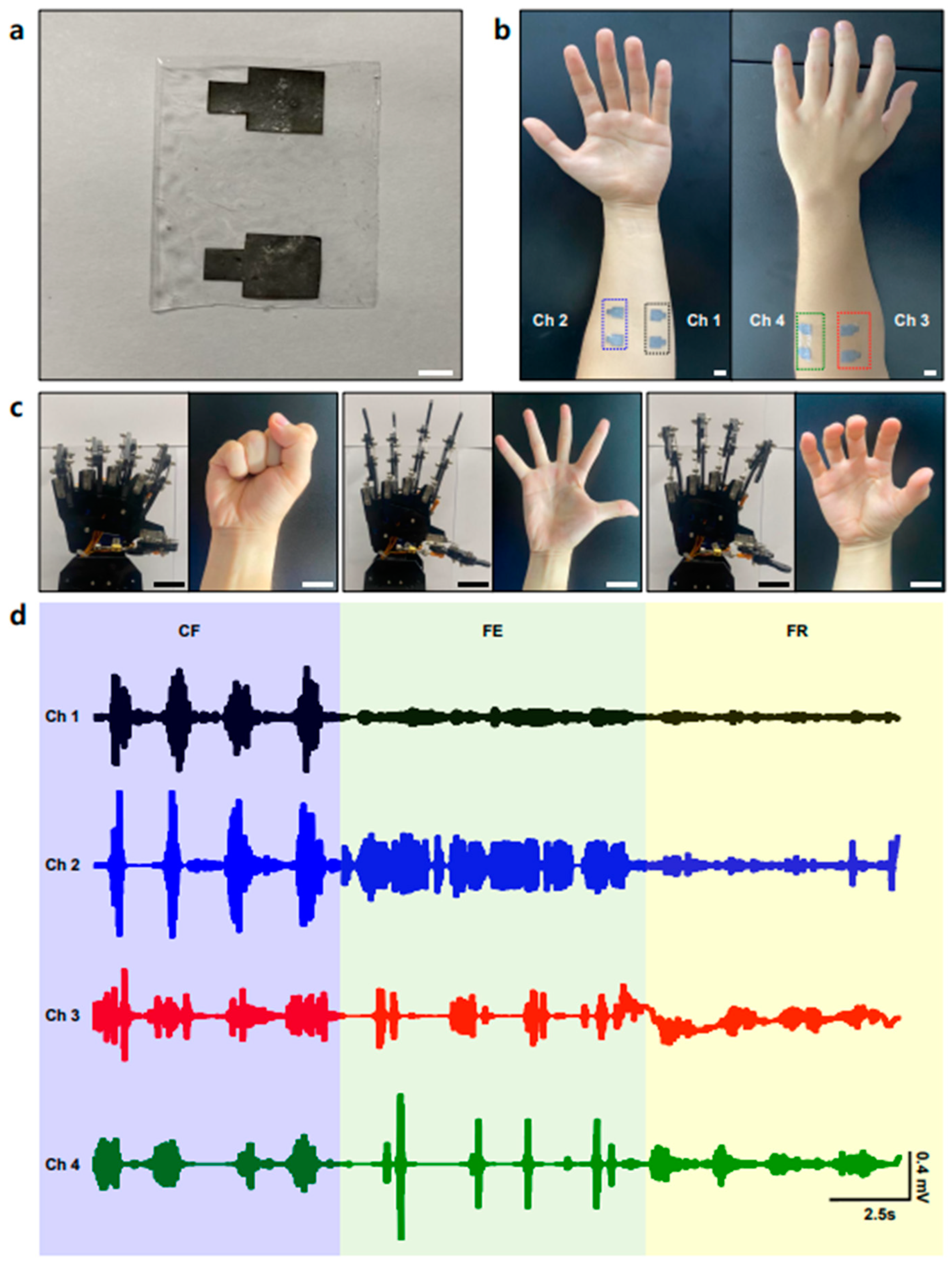 Polymers 15 03692 g004