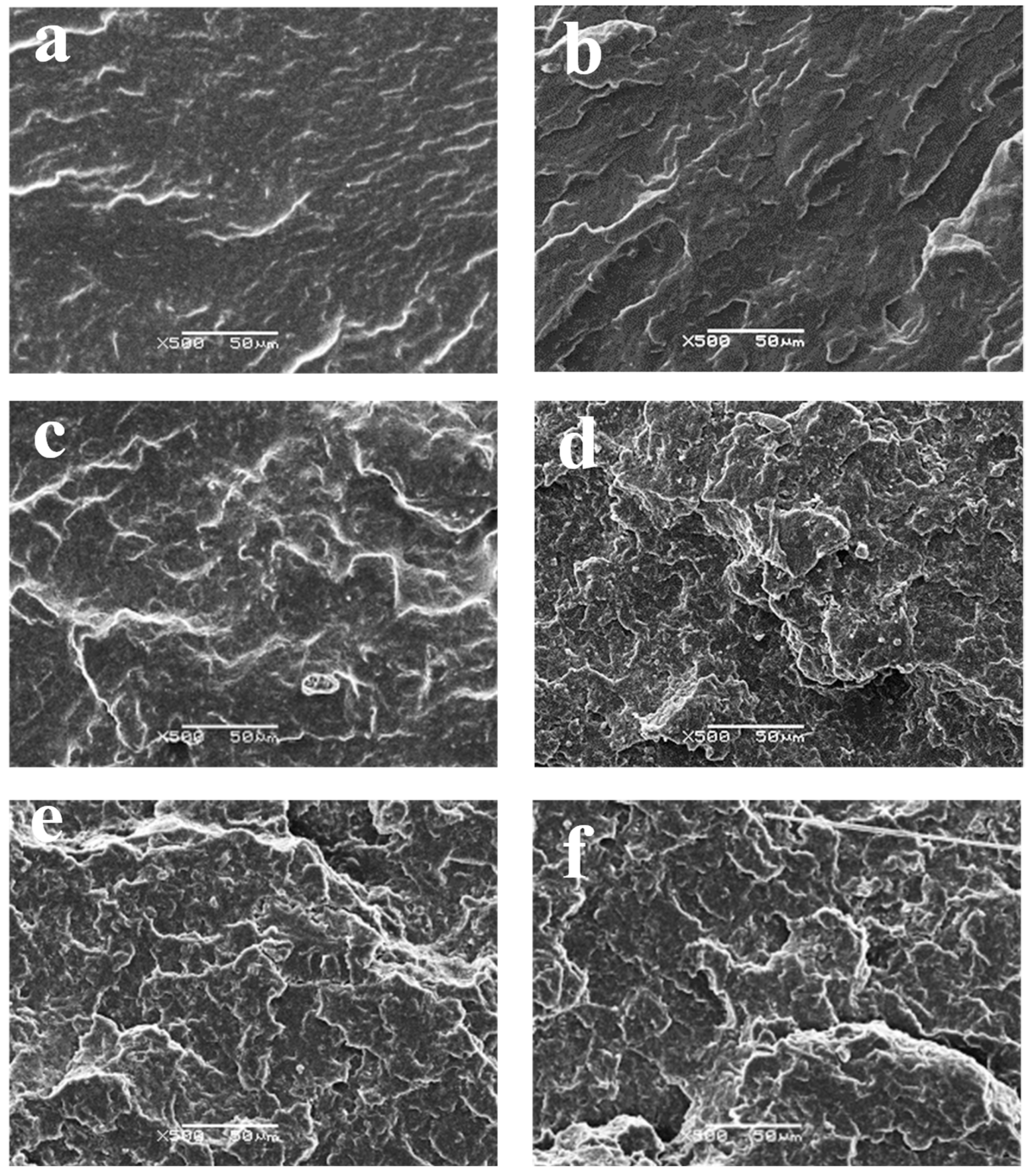 Polymers 15 03696 g015